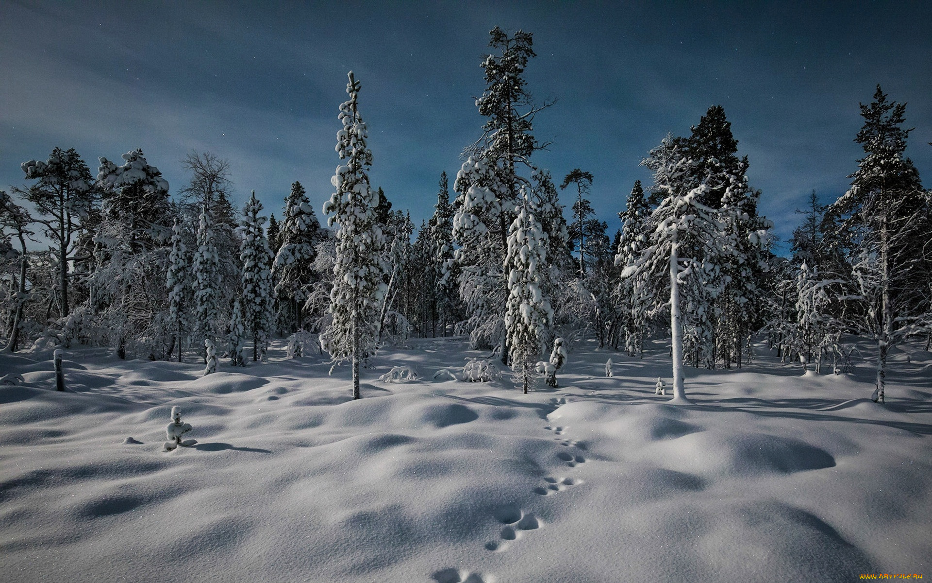 природа, зима, riutula, lapland, finland, финляндия