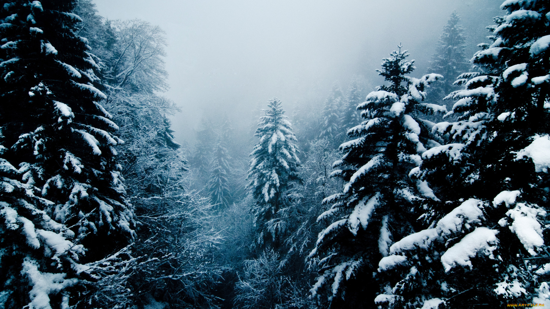 природа, зима, switzerland, rigi, lucerne