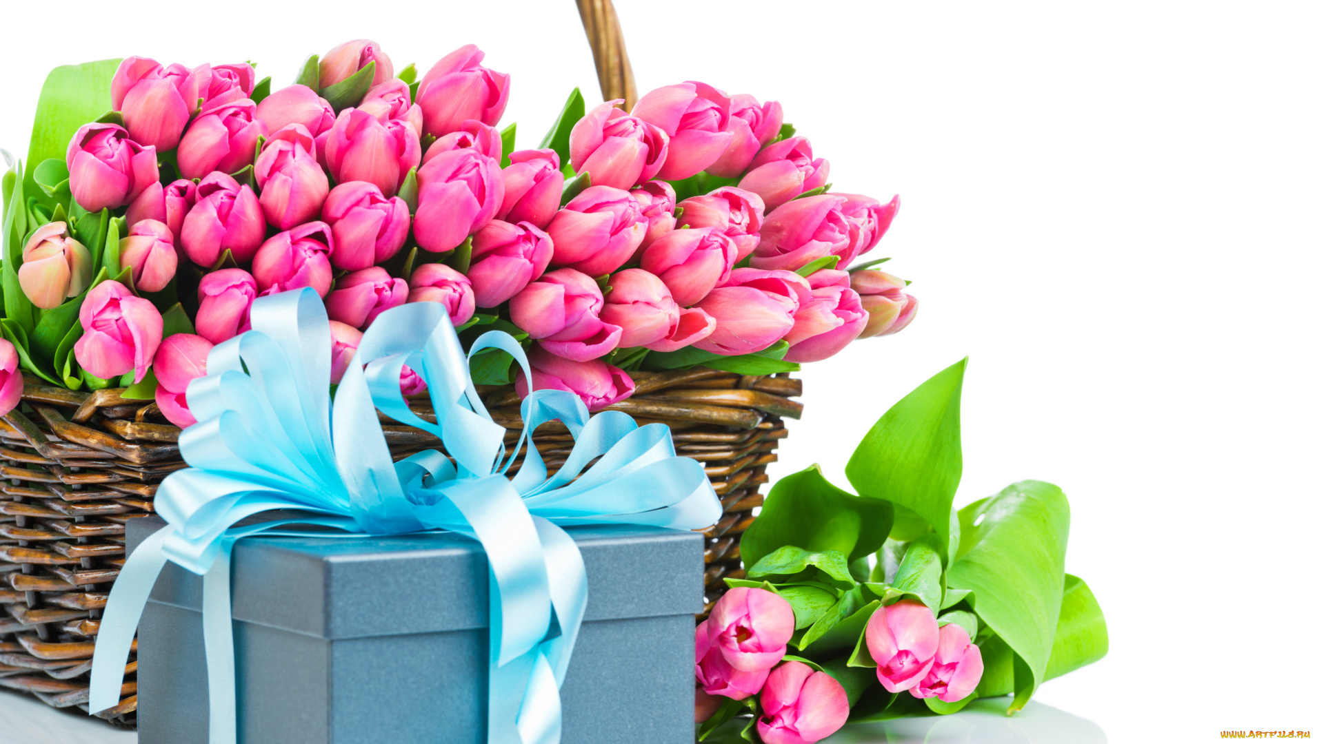 цветы, тюльпаны, подарок, бант