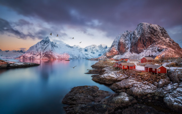 Картинка города -+пейзажи фьорд скалы норвегия горы птицы поселок лофотенские острова