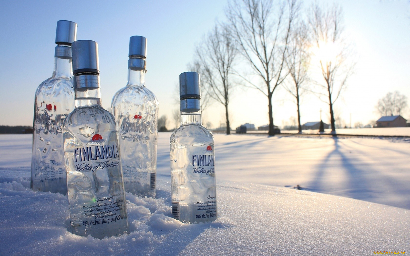 бренды, finlandia, водка, снег, бутылки, зима