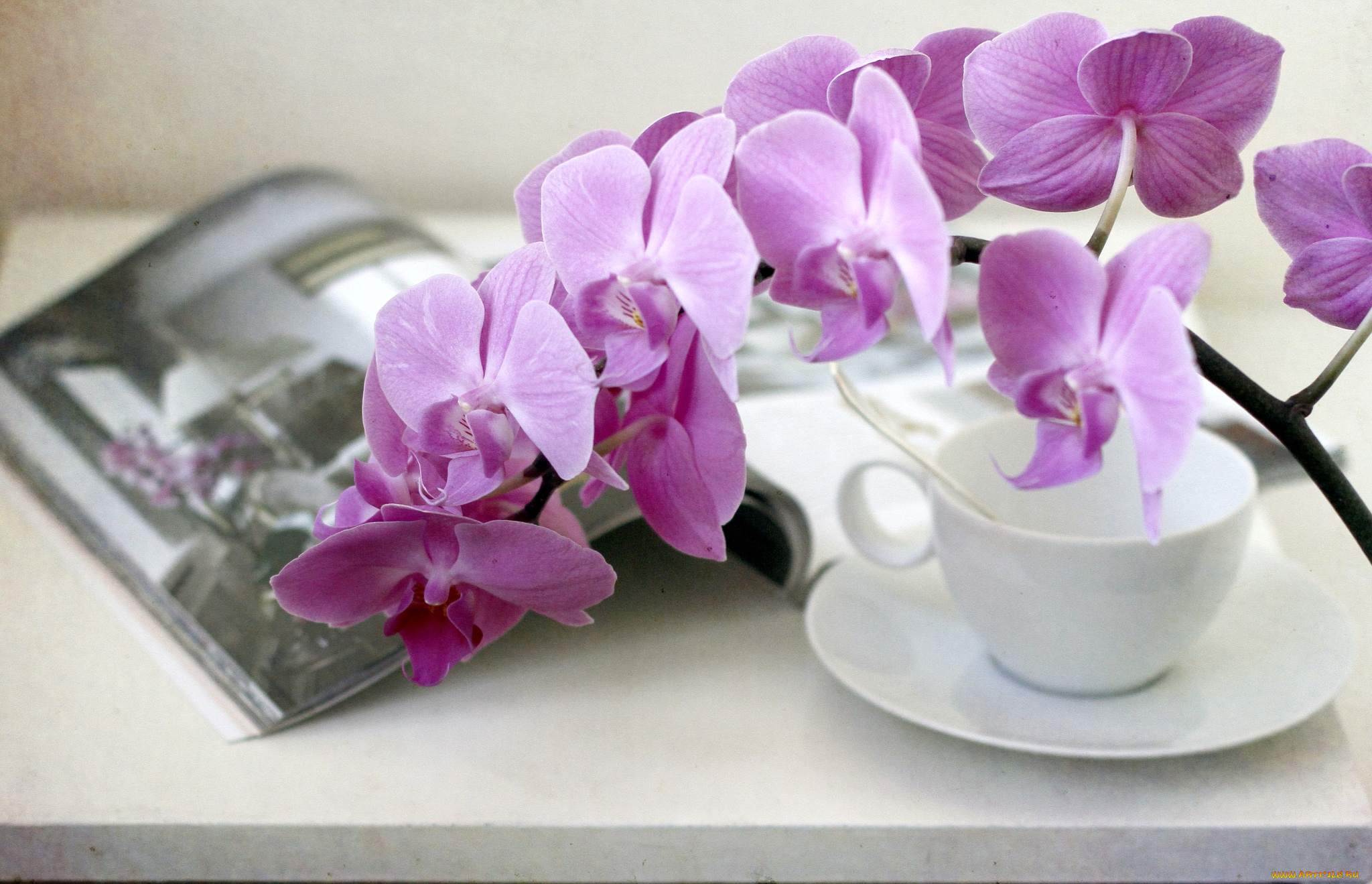 Поздравление С Добрым Утром С Букетом Орхидей