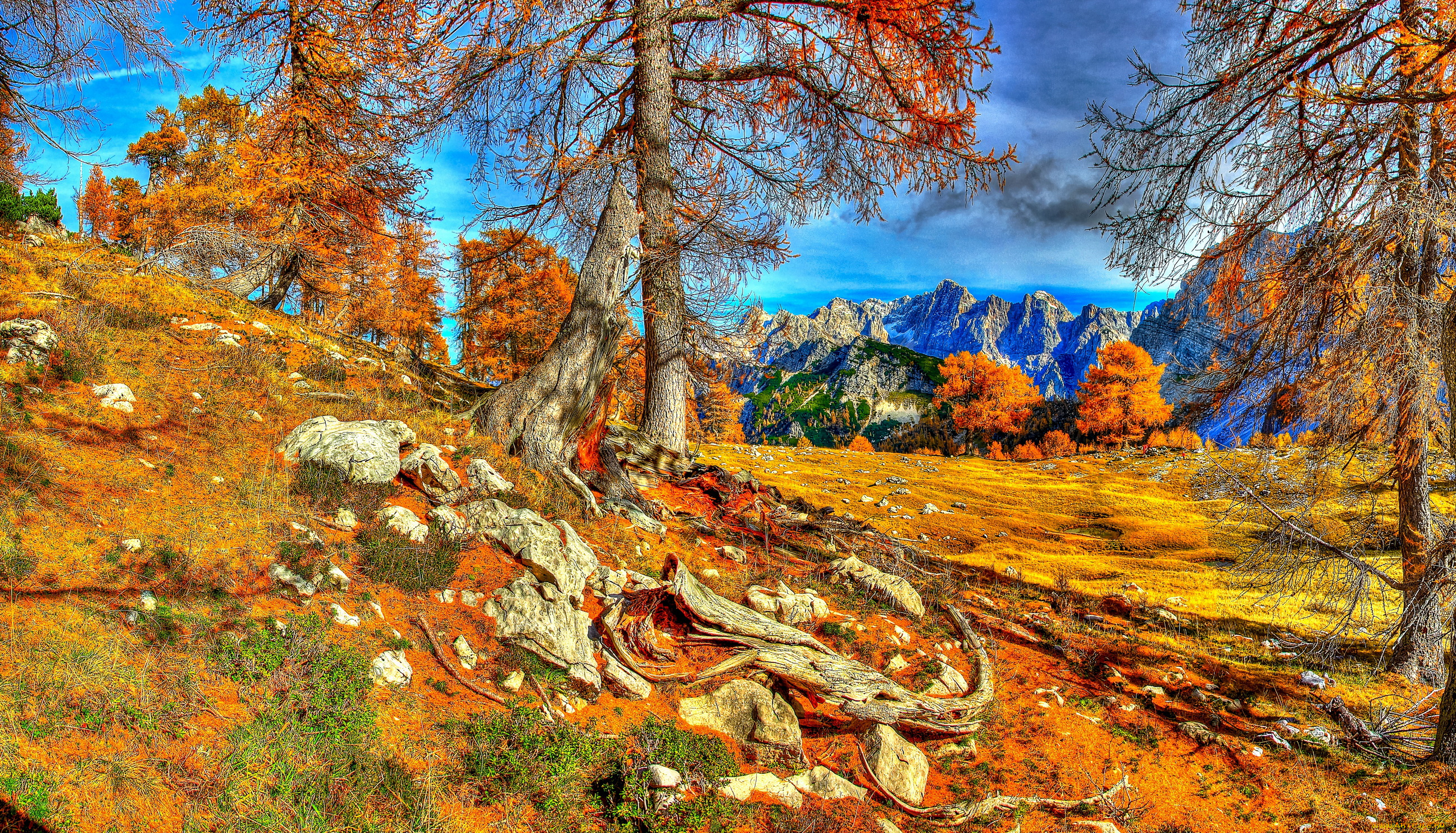 словения, краньска, гора, природа, деревья, горы, осень