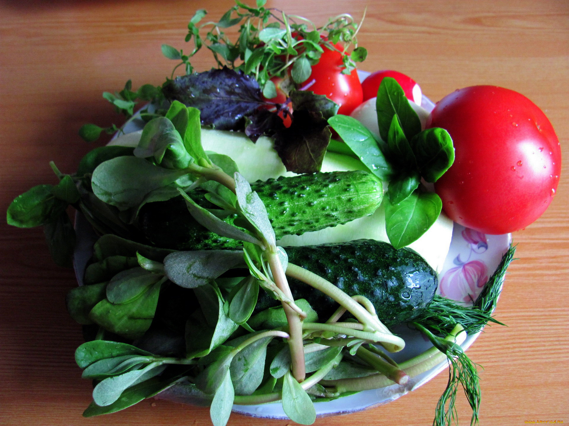 еда, овощи, помидоры, огурцы, укроп, базилик, салат, редис