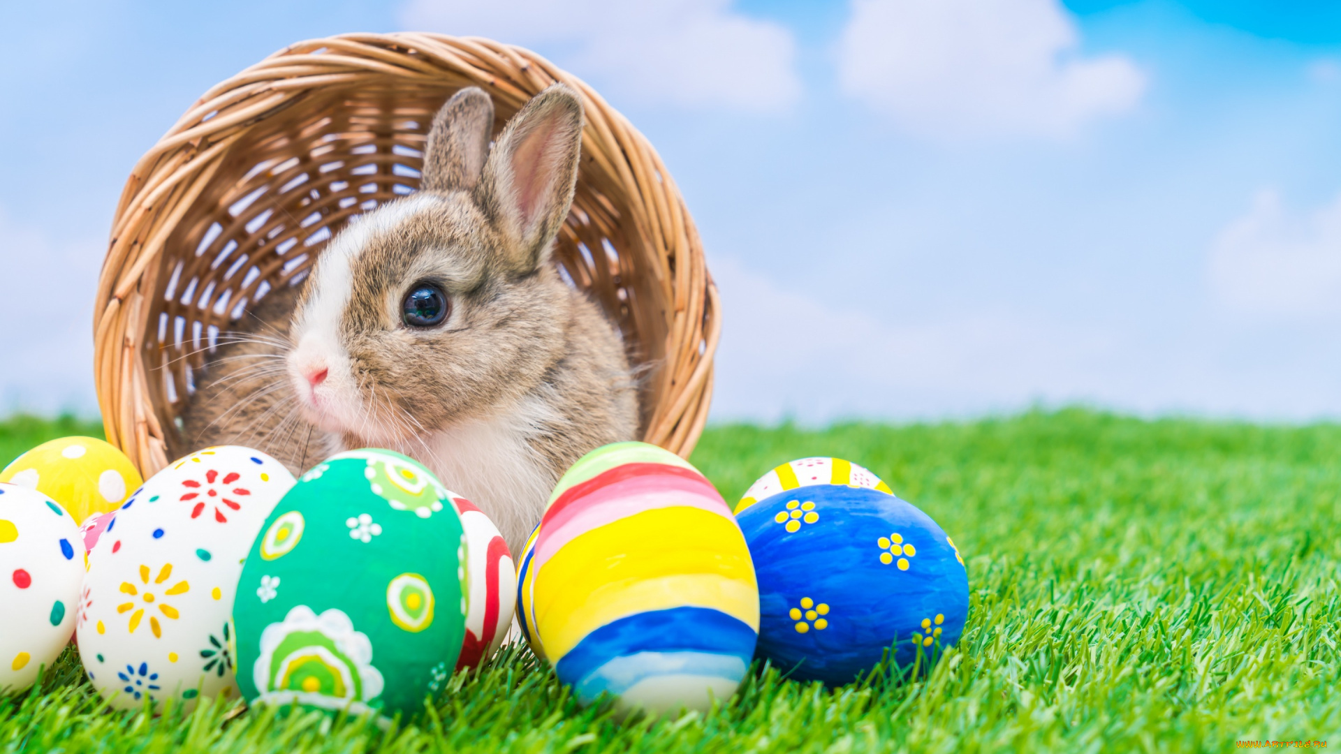 животные, кролики, , зайцы, яйца, крашенные, праздник, кролик, корзина, пасха