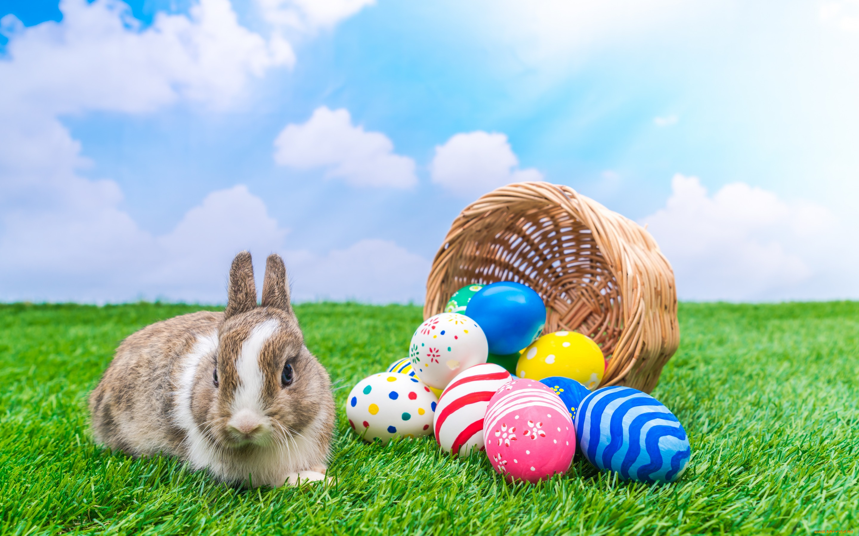 животные, кролики, , зайцы, весна, пасха