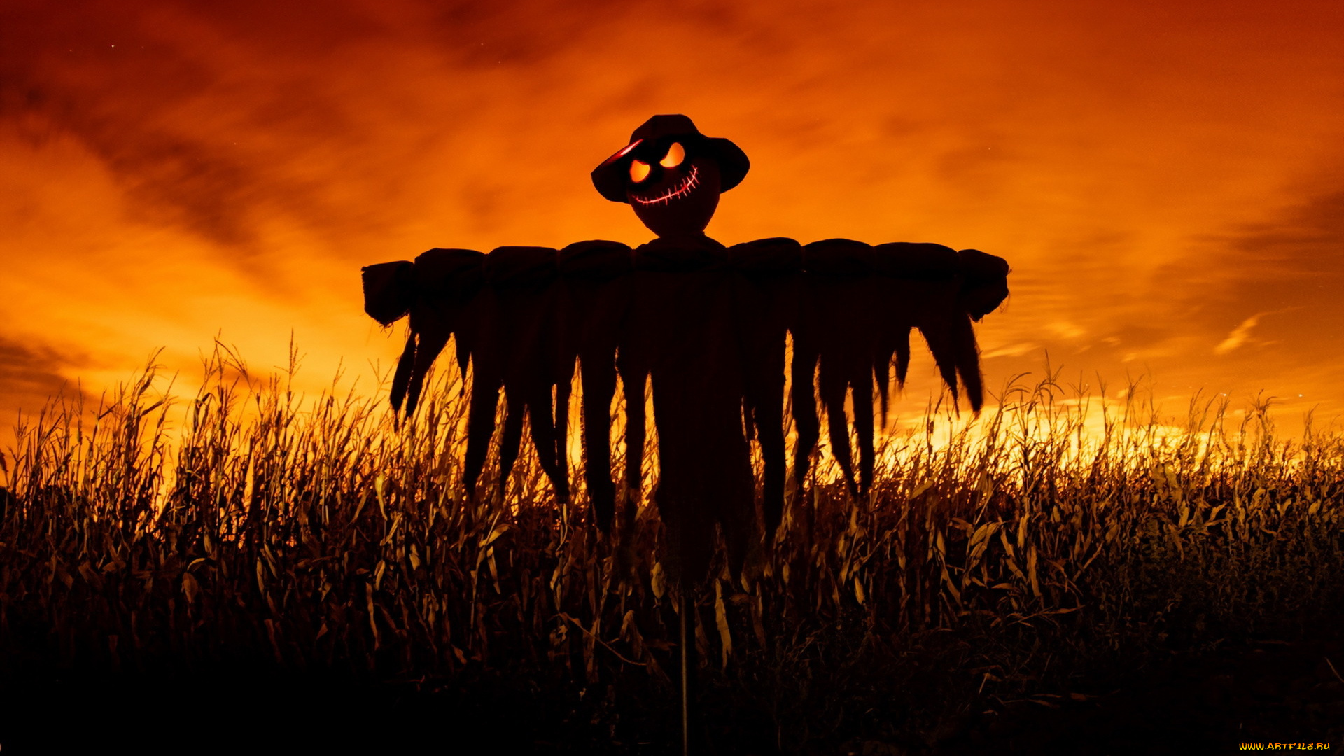 праздничные, хэллоуин, поле, ночь, scarecrow