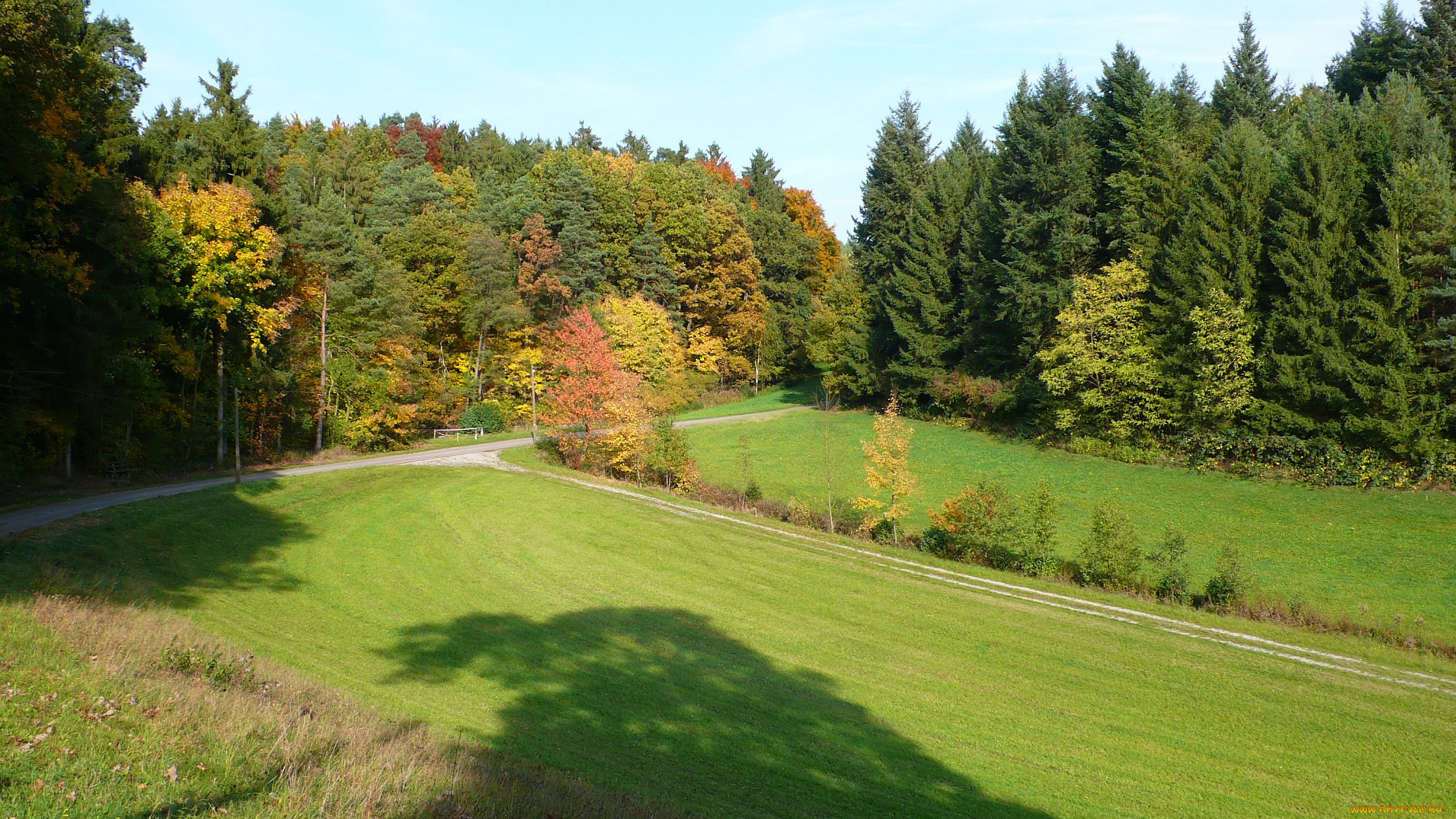 franconia, autumn, природа, лес, осень, поле, дорога