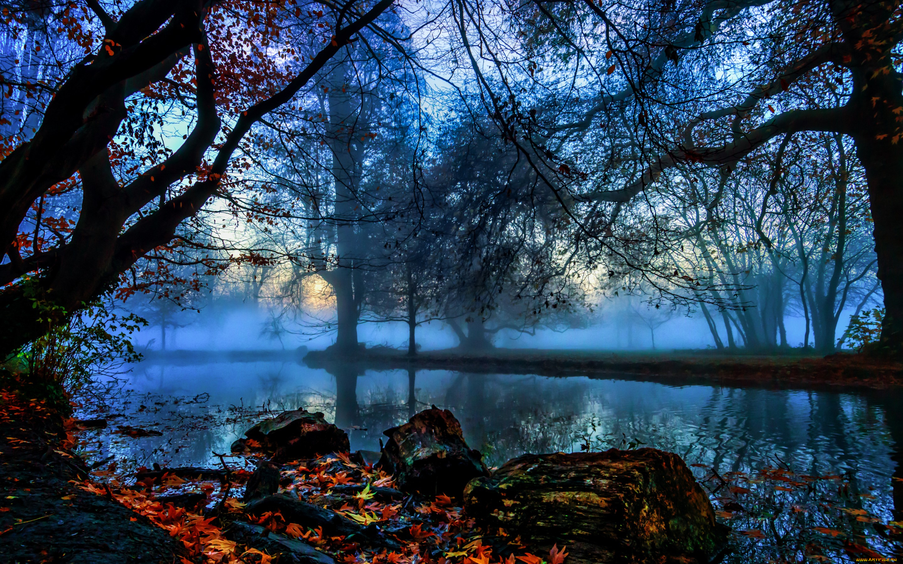 природа, реки, озера, туман, деревья, ветки, листья, камни, речка, осень, morden, hall, park, англия, лондон