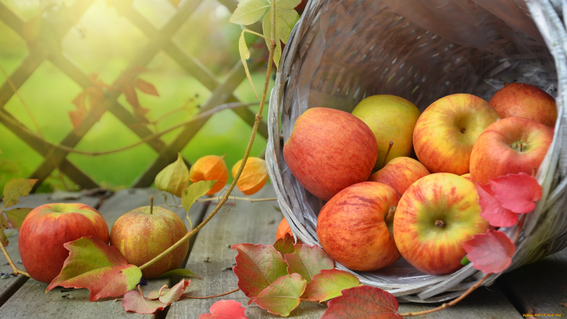 еда, Яблоки, яблоки, корзина, физалис, фрукты, доски, листья, ветки, плоды
