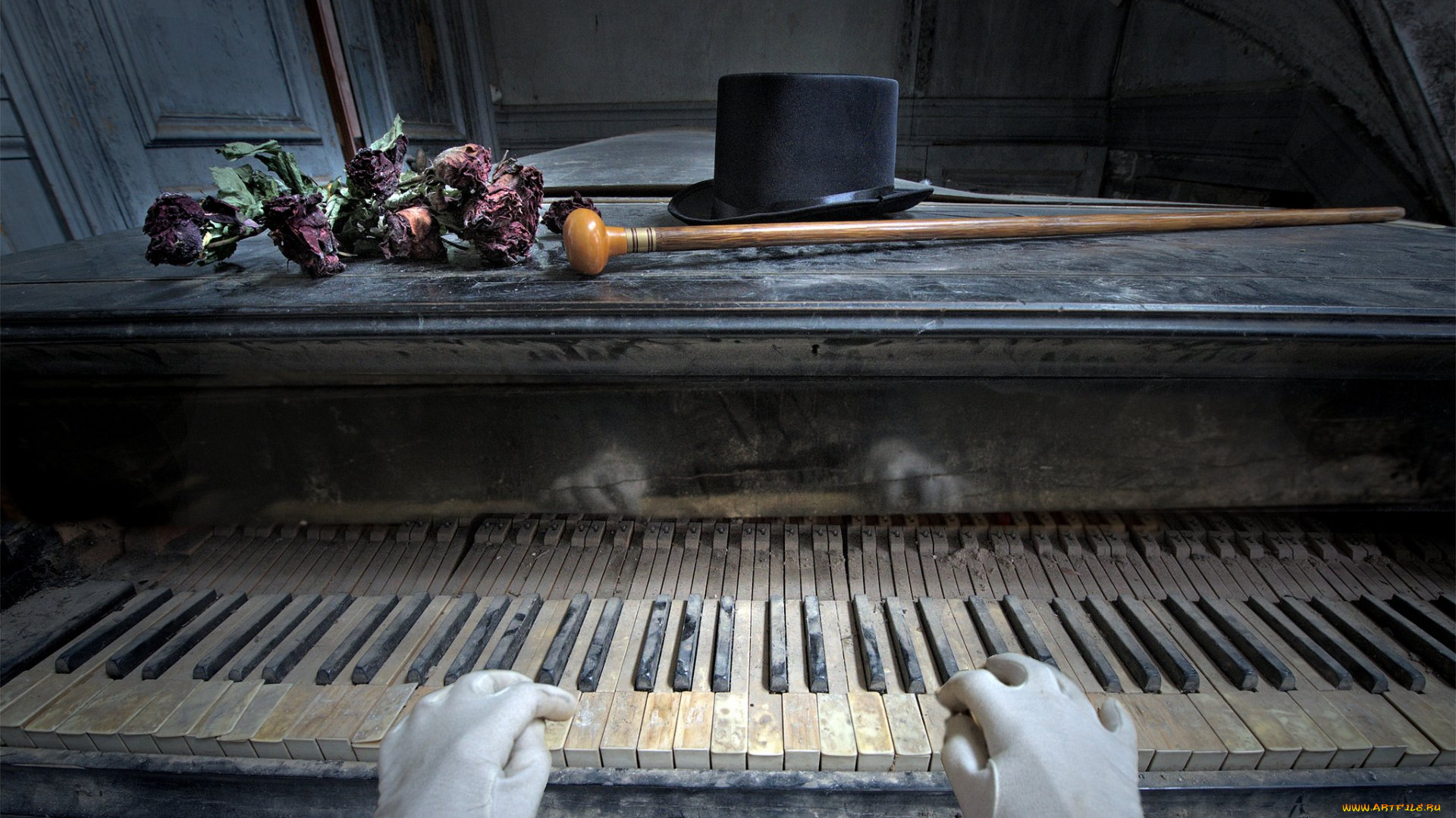музыка, -музыкальные, инструменты, пианино, цветы, трость, шляпа, руки