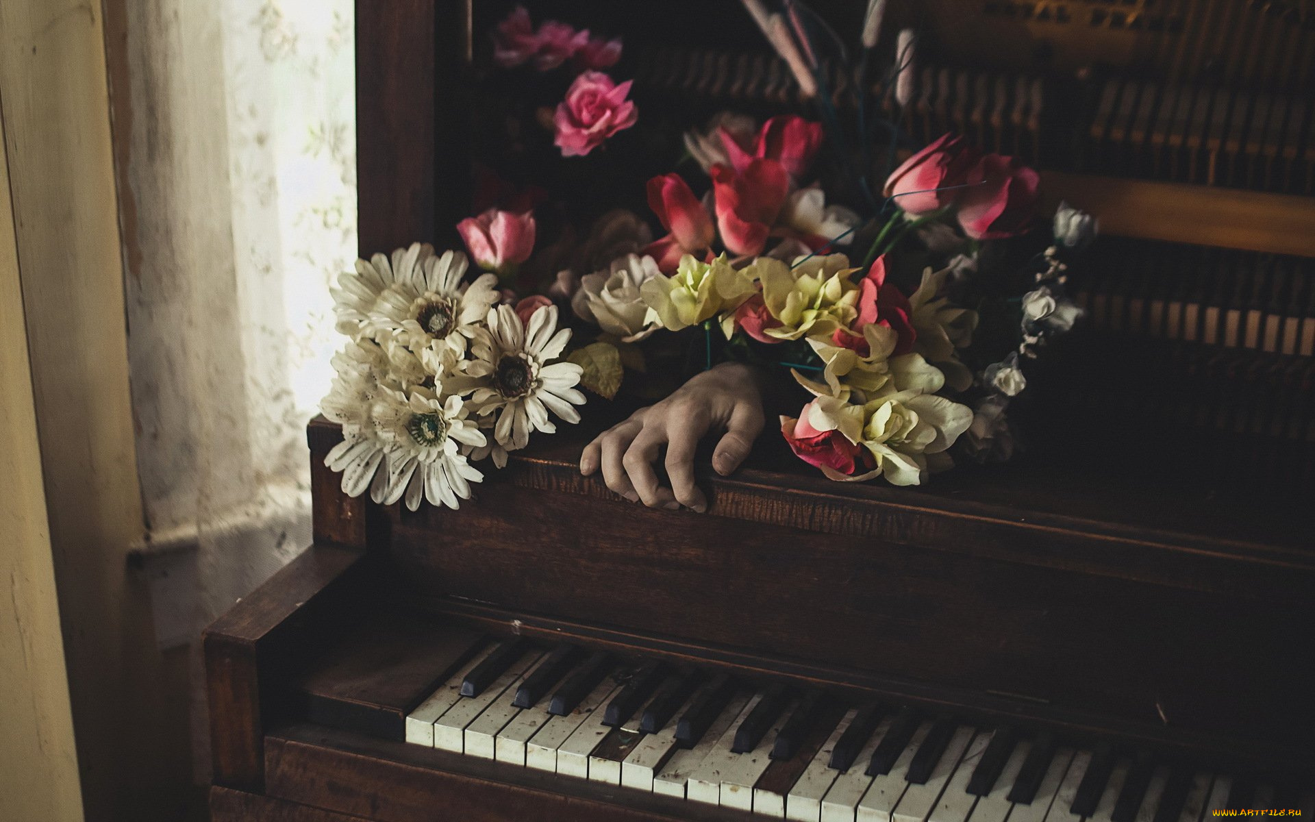 музыка, -музыкальные, инструменты, цветы, клавиши, комната, рука