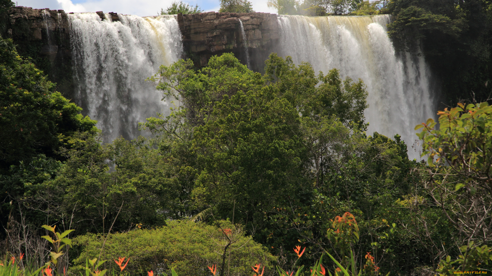 kama, falls, gran, sabana, венесуэла, природа, водопады, цветы, обрыв, водопад