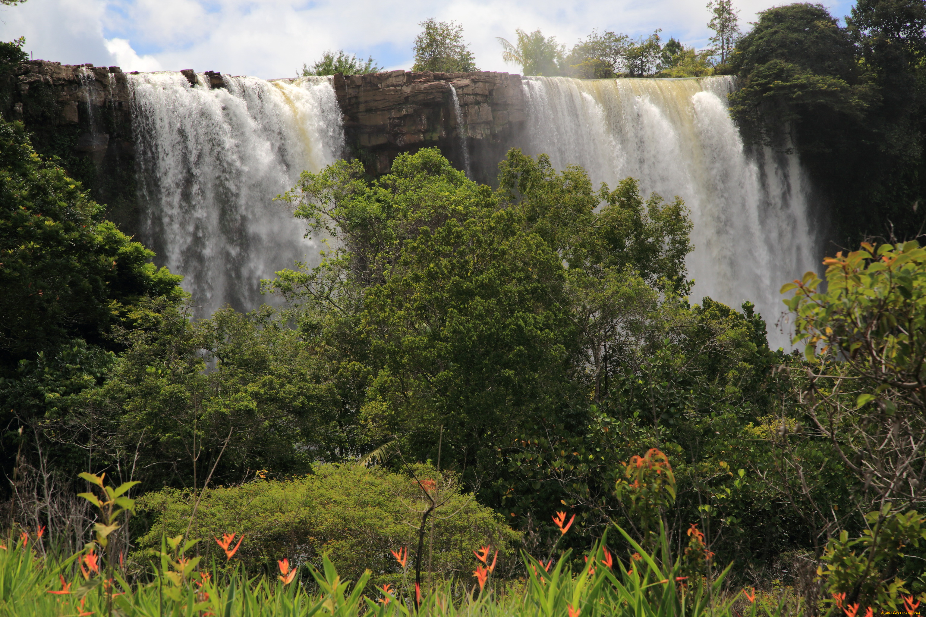 kama, falls, gran, sabana, венесуэла, природа, водопады, цветы, обрыв, водопад