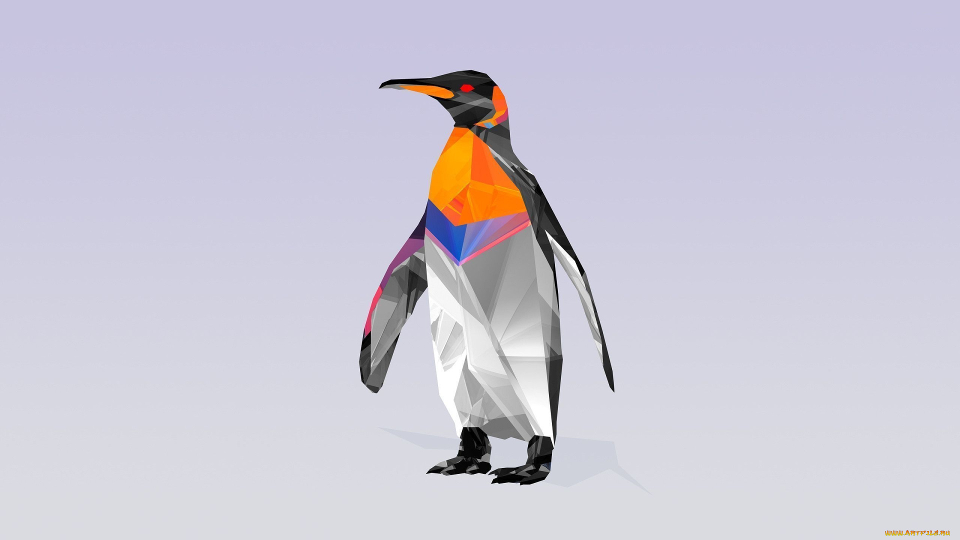 рисованные, минимализм, пингвин