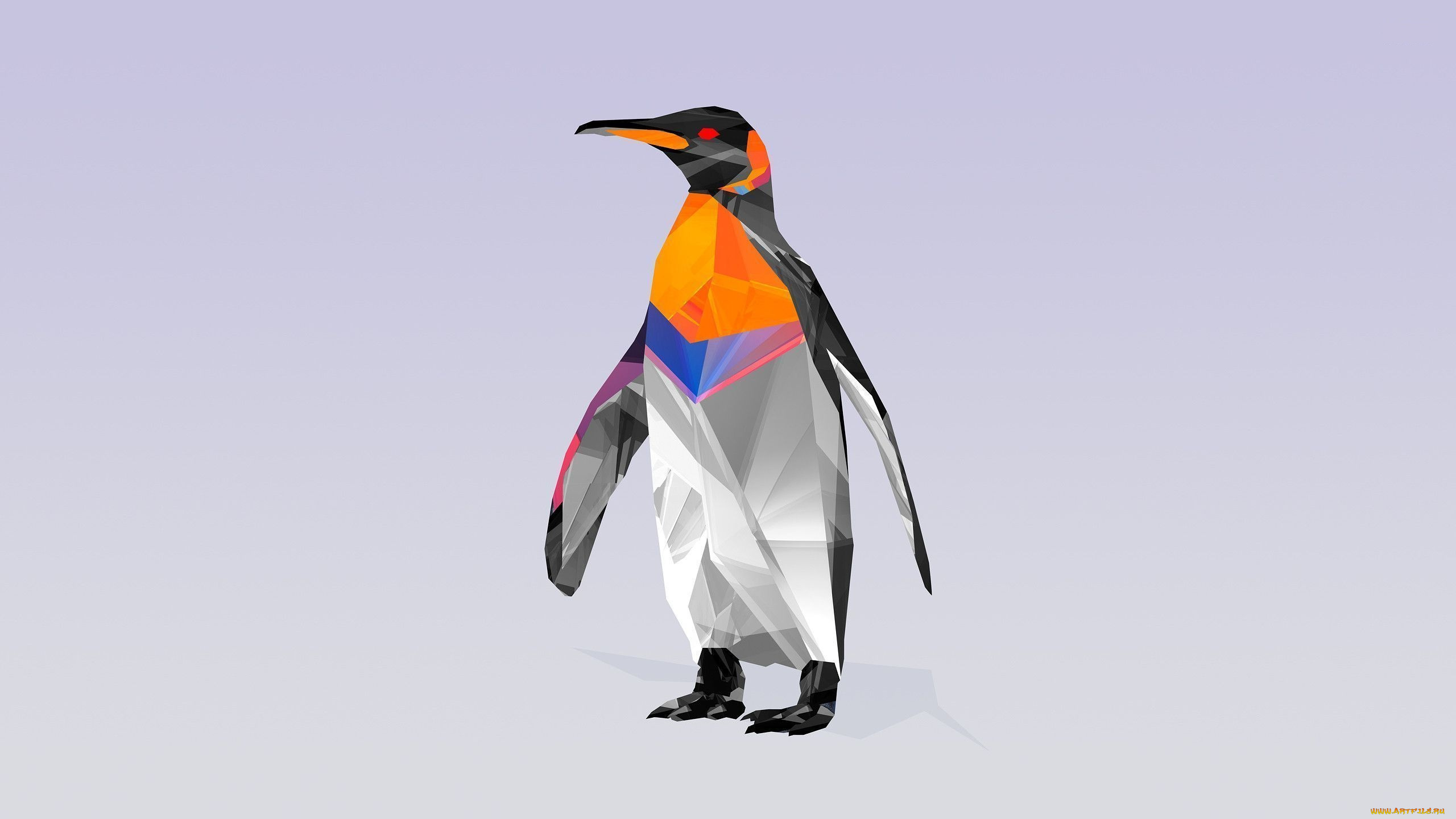 рисованные, минимализм, пингвин