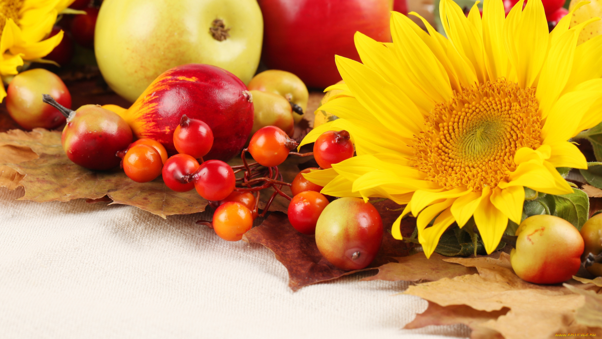 еда, фрукты, ягоды, дары, осени