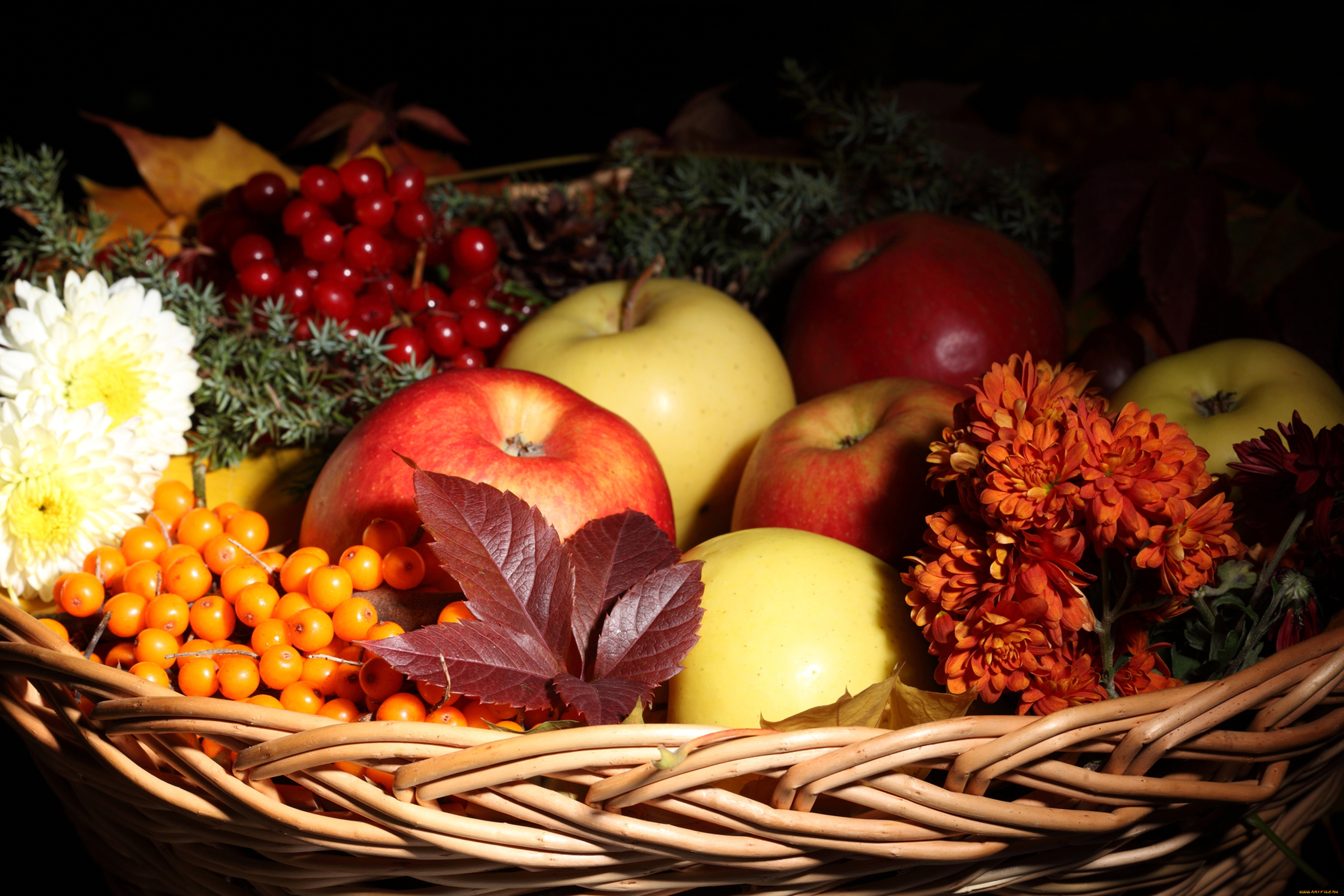 еда, фрукты, ягоды, яблоки, рябина