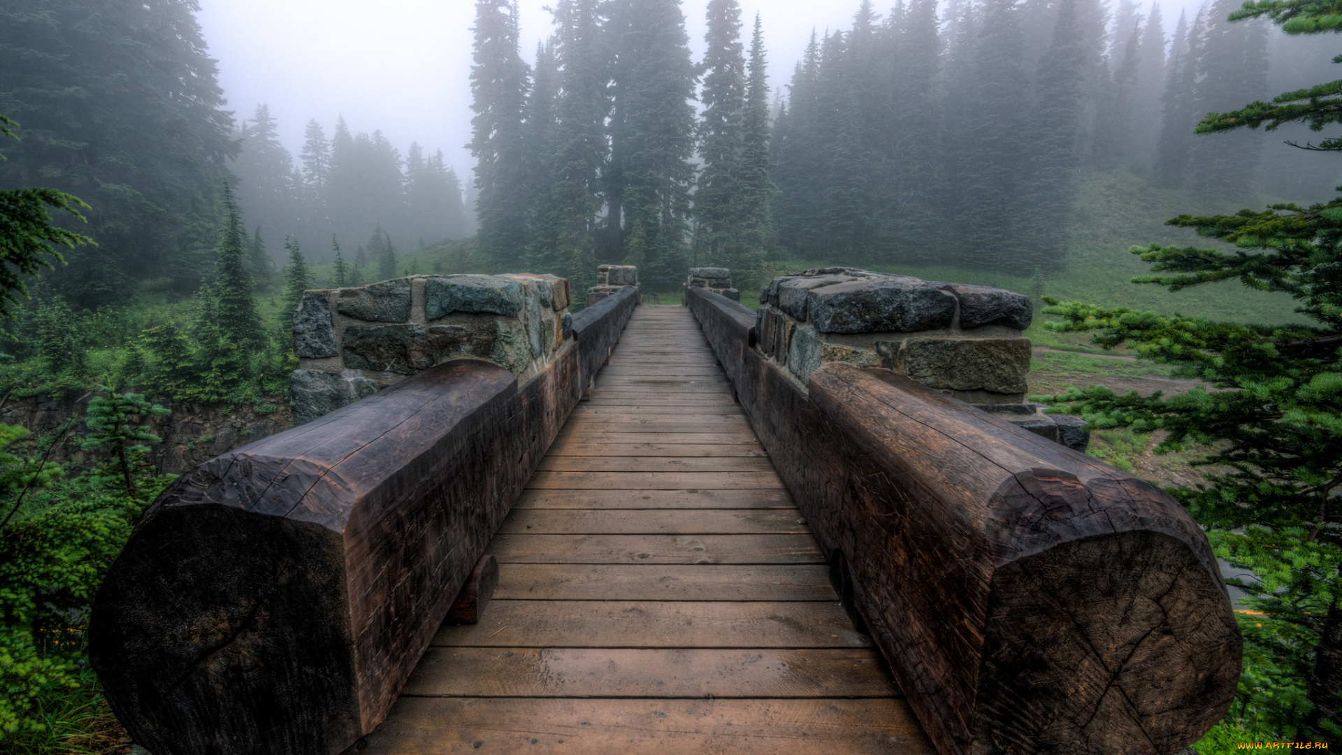 природа, дороги, лес, туман, мост