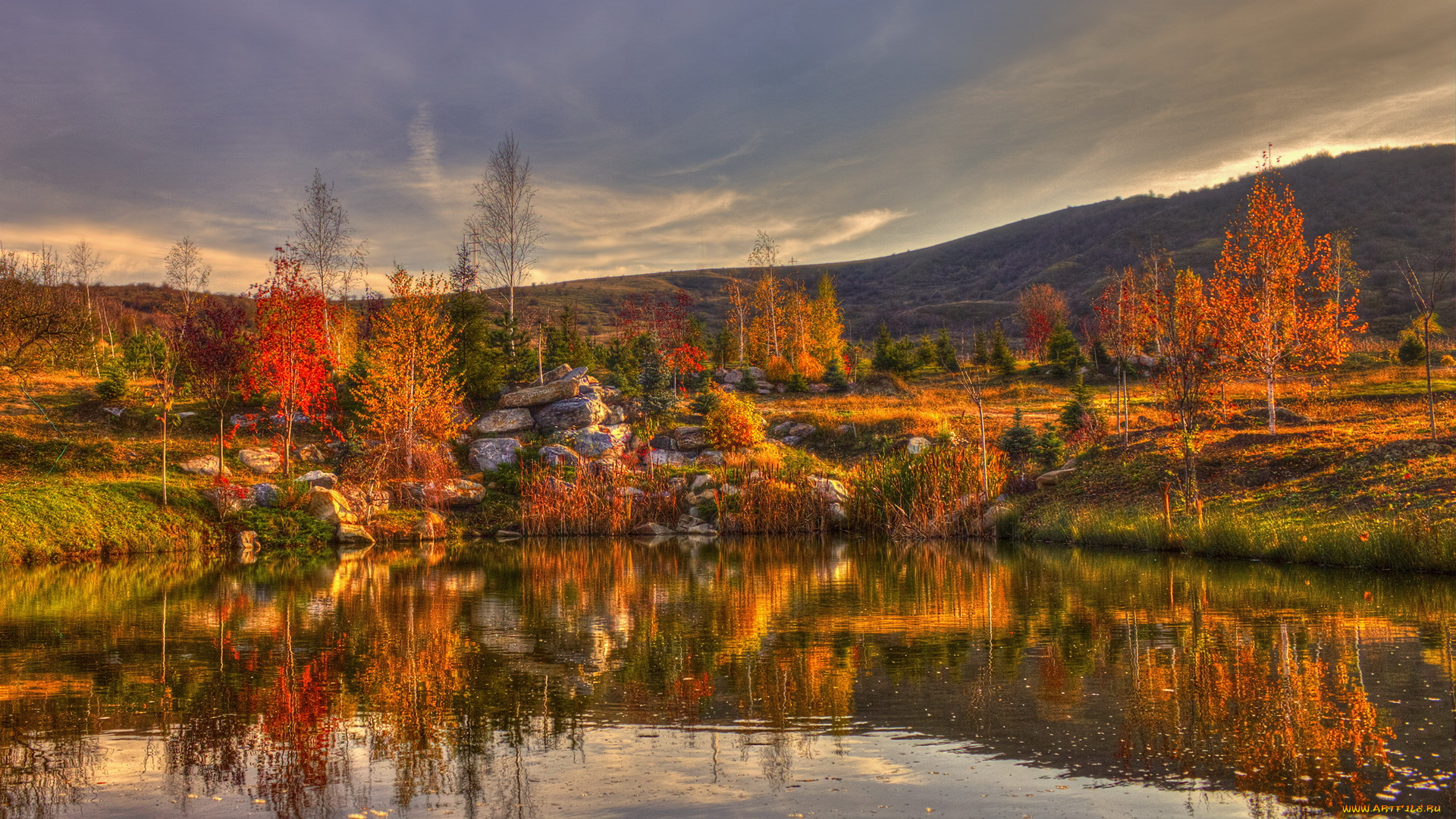 природа, пейзажи, осень, деревья, озеро