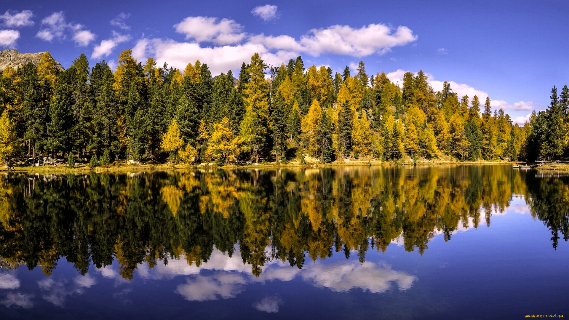 природа, реки, озера, озеро, деревья, лес, осень