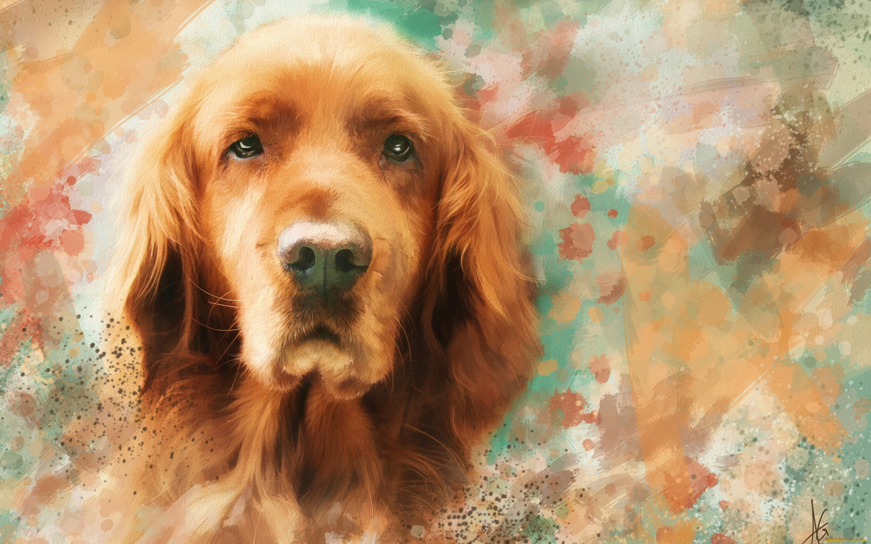 рисованное, животные, , собаки, мазки, рисунок, портрет, морда, рыжая, собака, картина, живопись