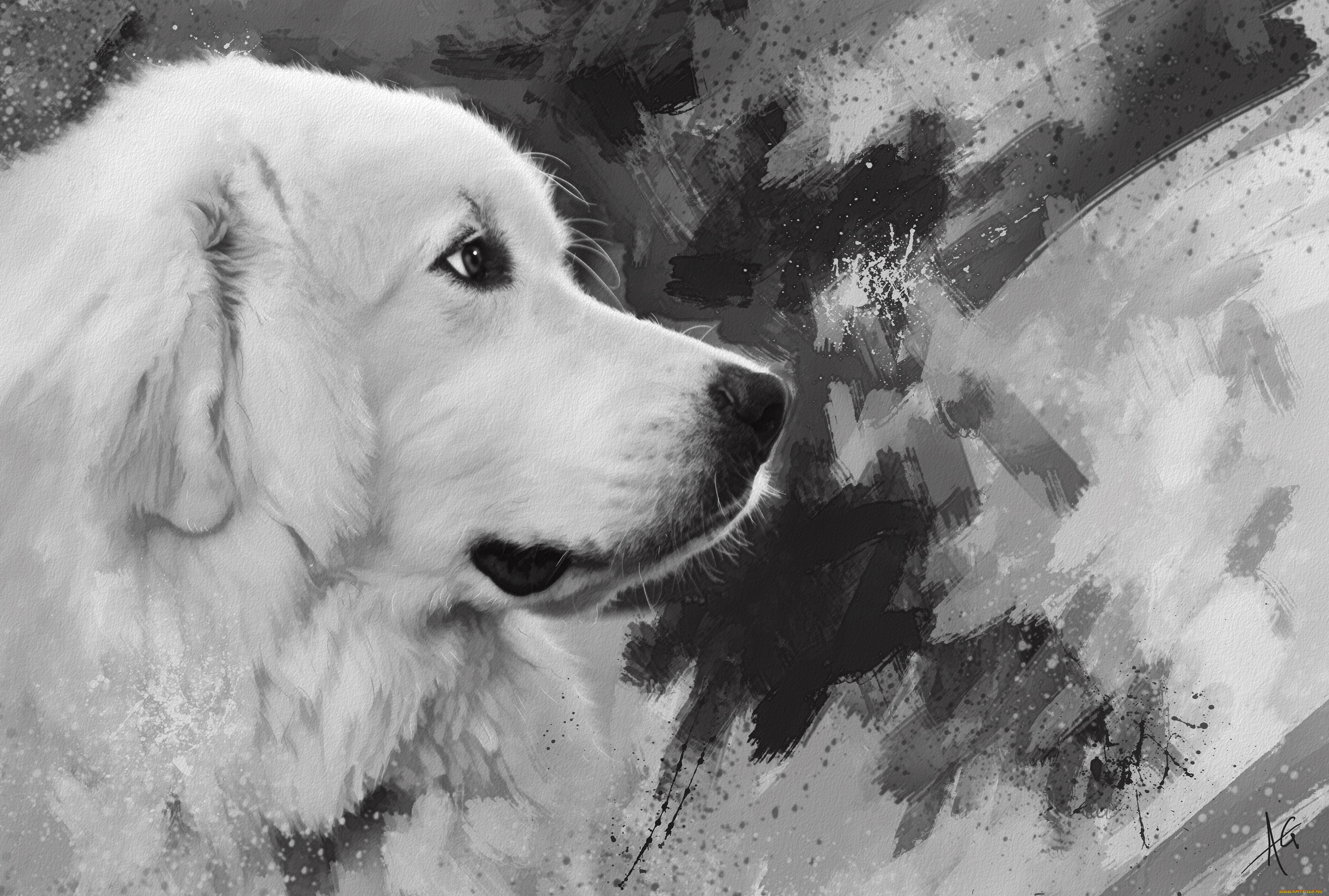 рисованное, животные, , собаки, белая, собака, рисунок, мазки, черно-белое, морда, нарисованная, графика, картина, живопись