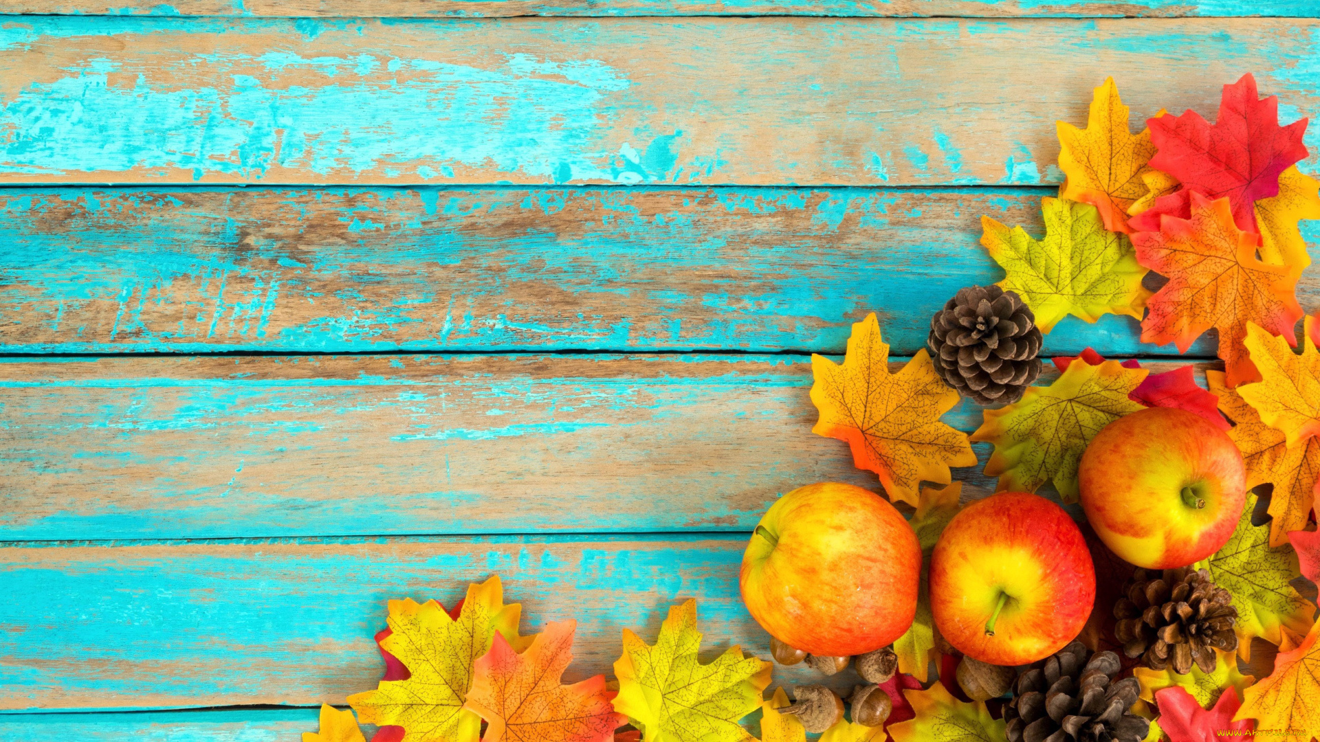 еда, Яблоки, листья, яблоки, шишки, осень