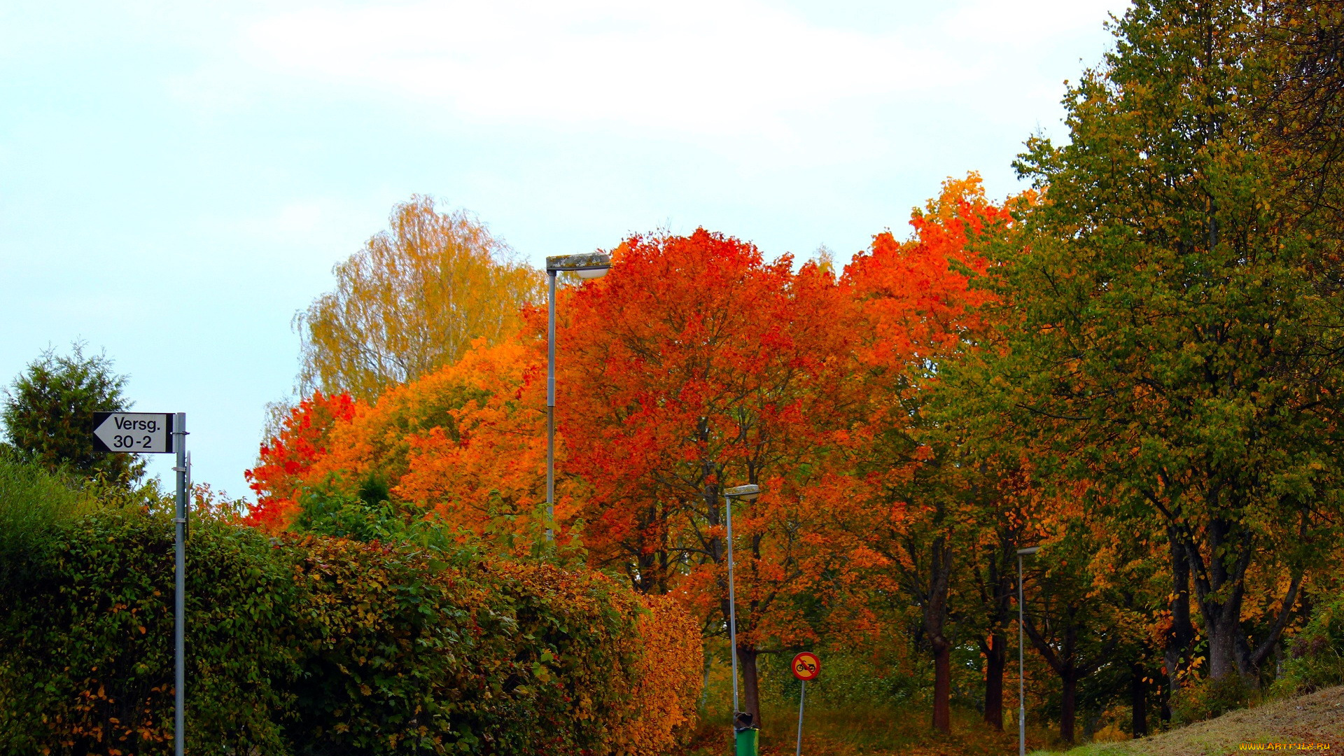 природа, дороги, деревья, дорога, осень