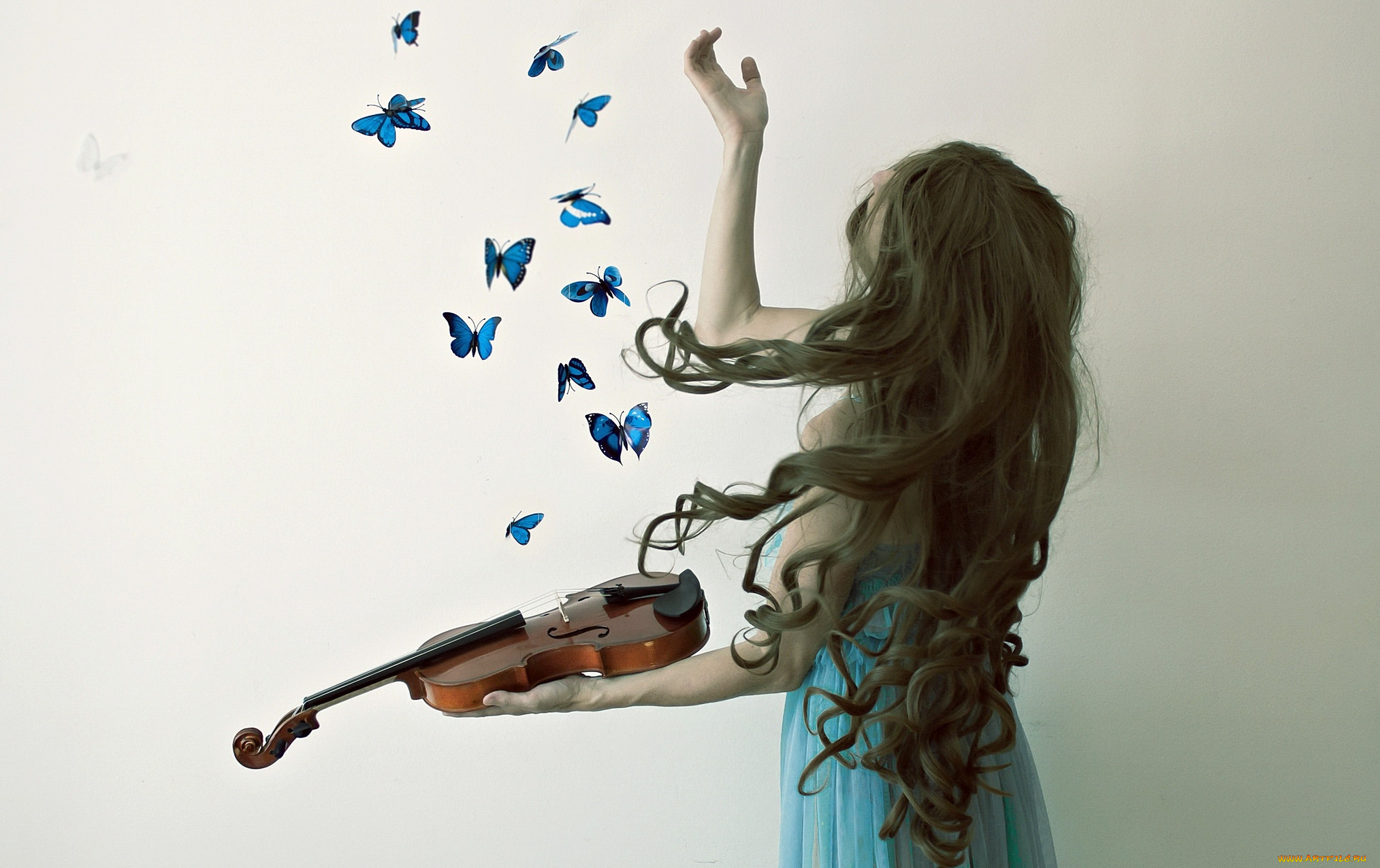 музыка, -другое, бабочки, девушка, скрипка