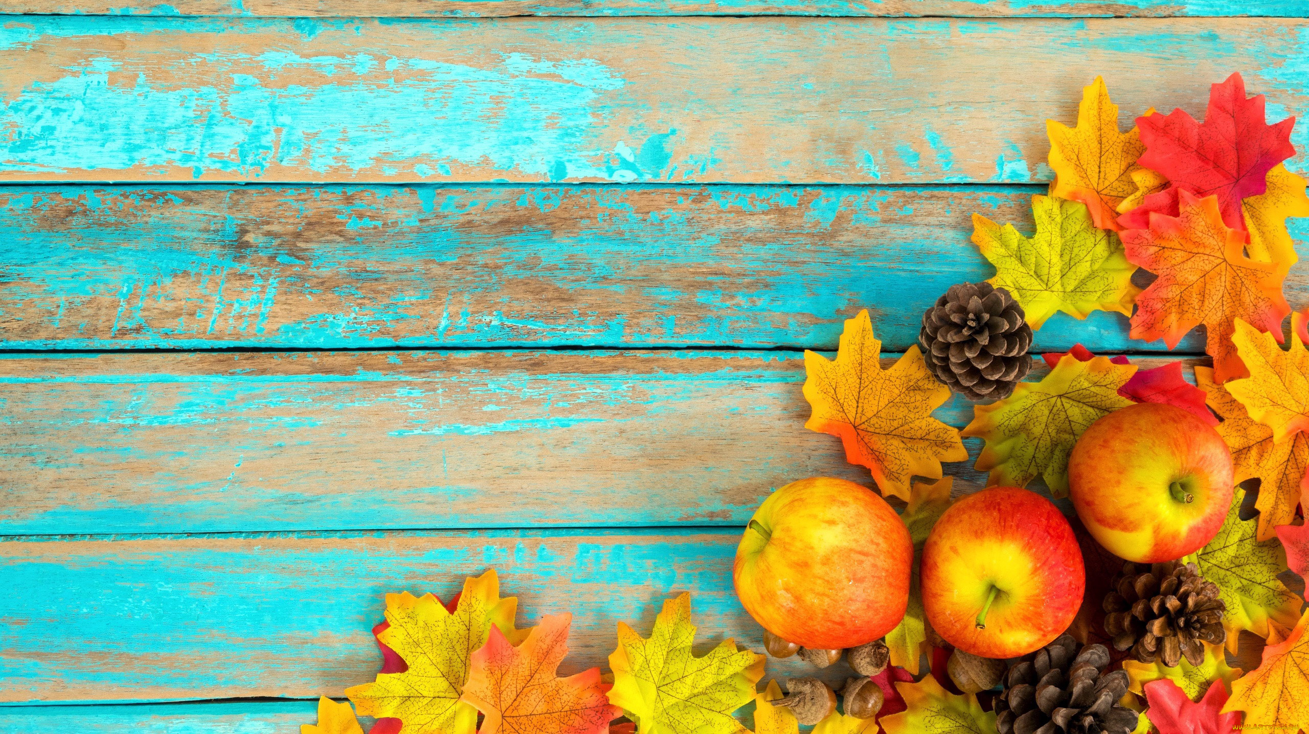 еда, Яблоки, листья, яблоки, шишки, осень