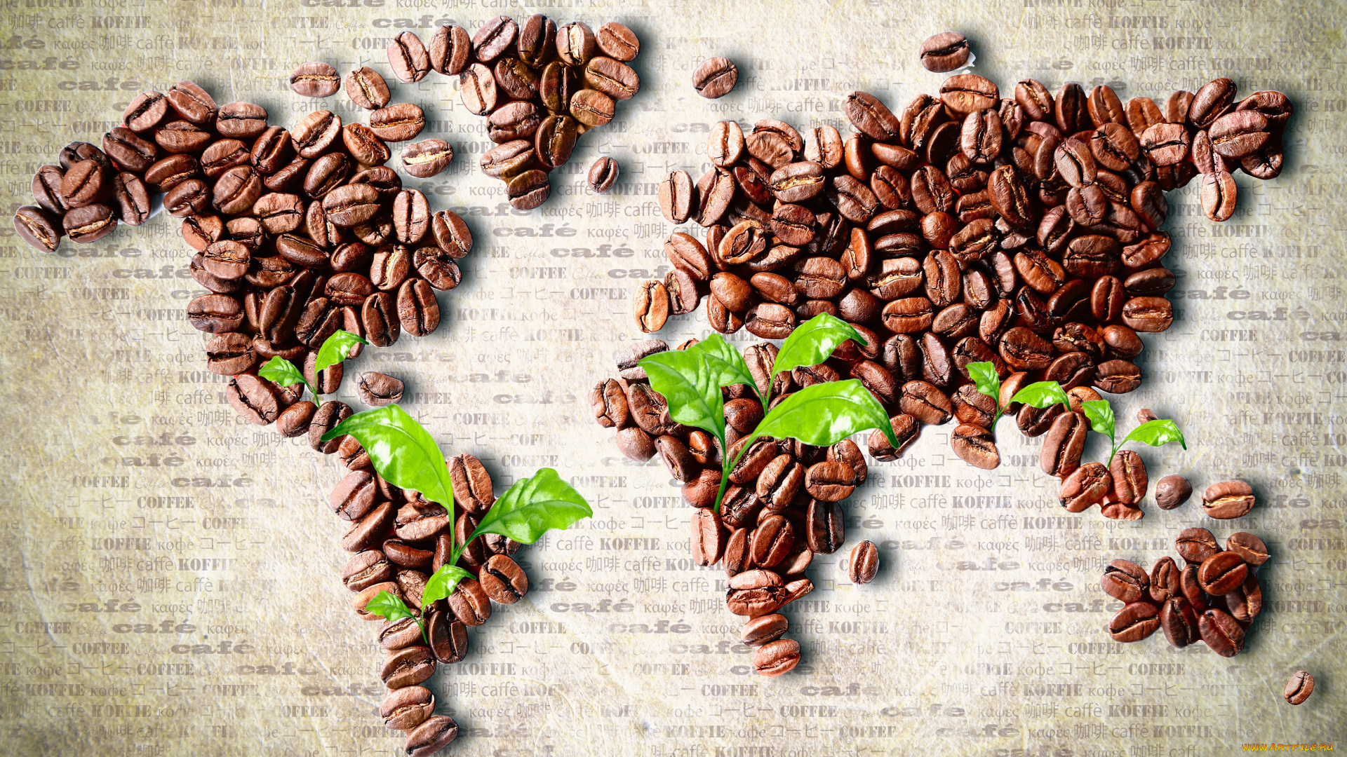еда, кофе, кофейные, зёрна, африка, америка, евразия