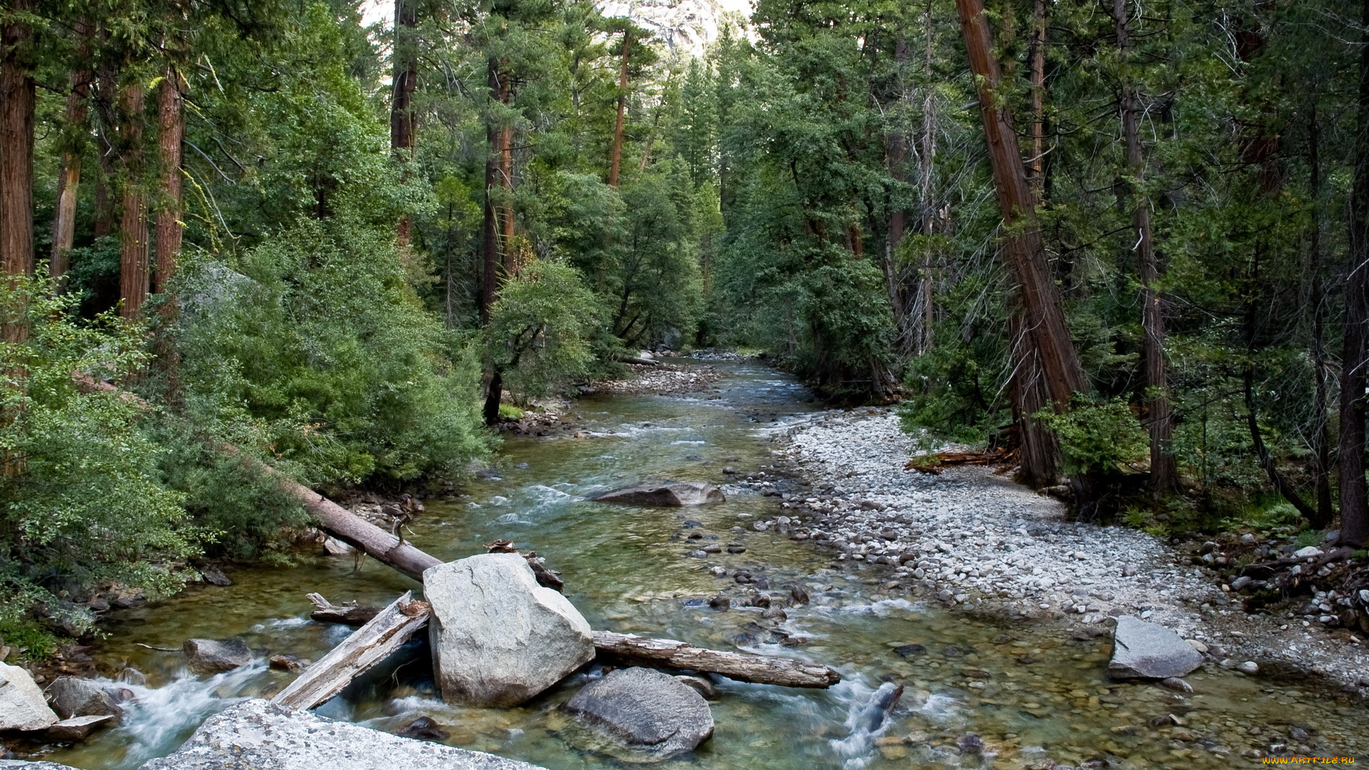 sequoia, national, park, california, природа, реки, озера, река, лес