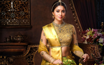 Картинка shriya+saran девушки болливуд индийская актриса красавица брюнетка национальная одежда танцовщица фотомодель шрия саран
