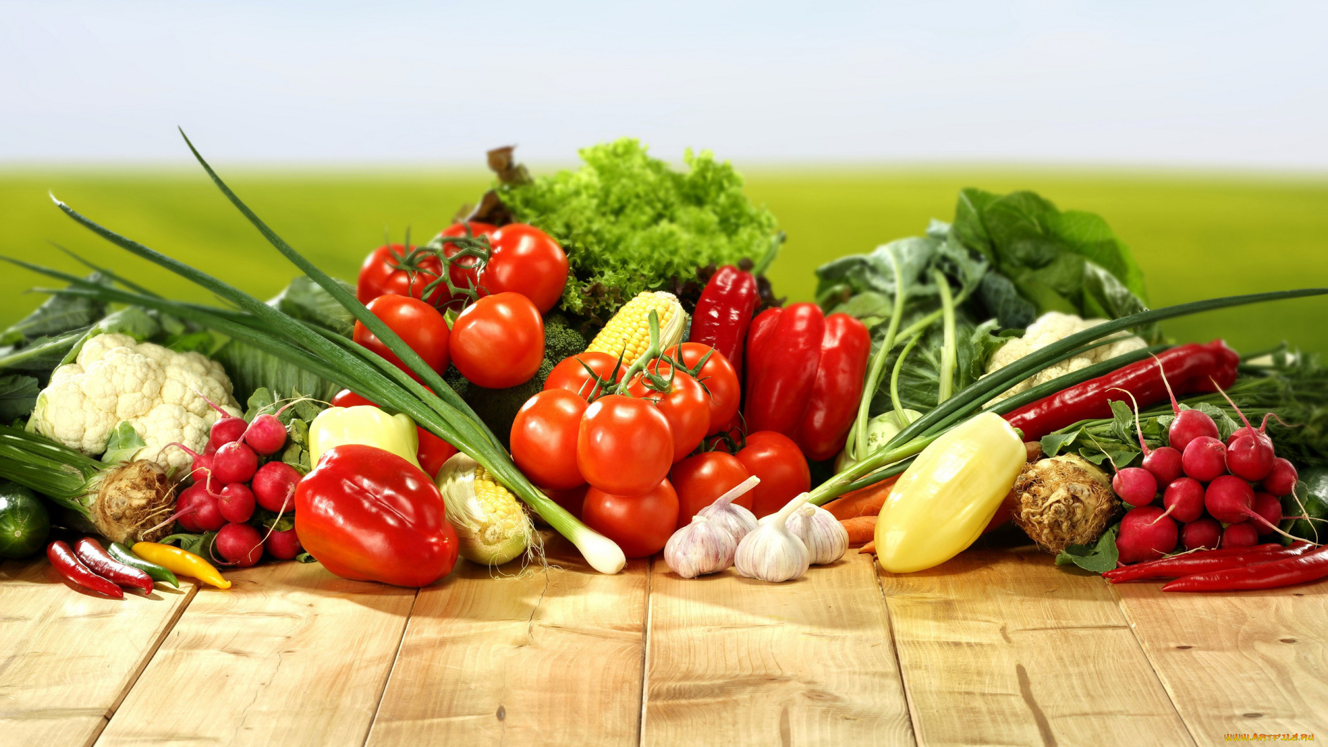 еда, овощи, перец, кукуруза, редис, кольраби, капуста, помидоры, лук, томаты