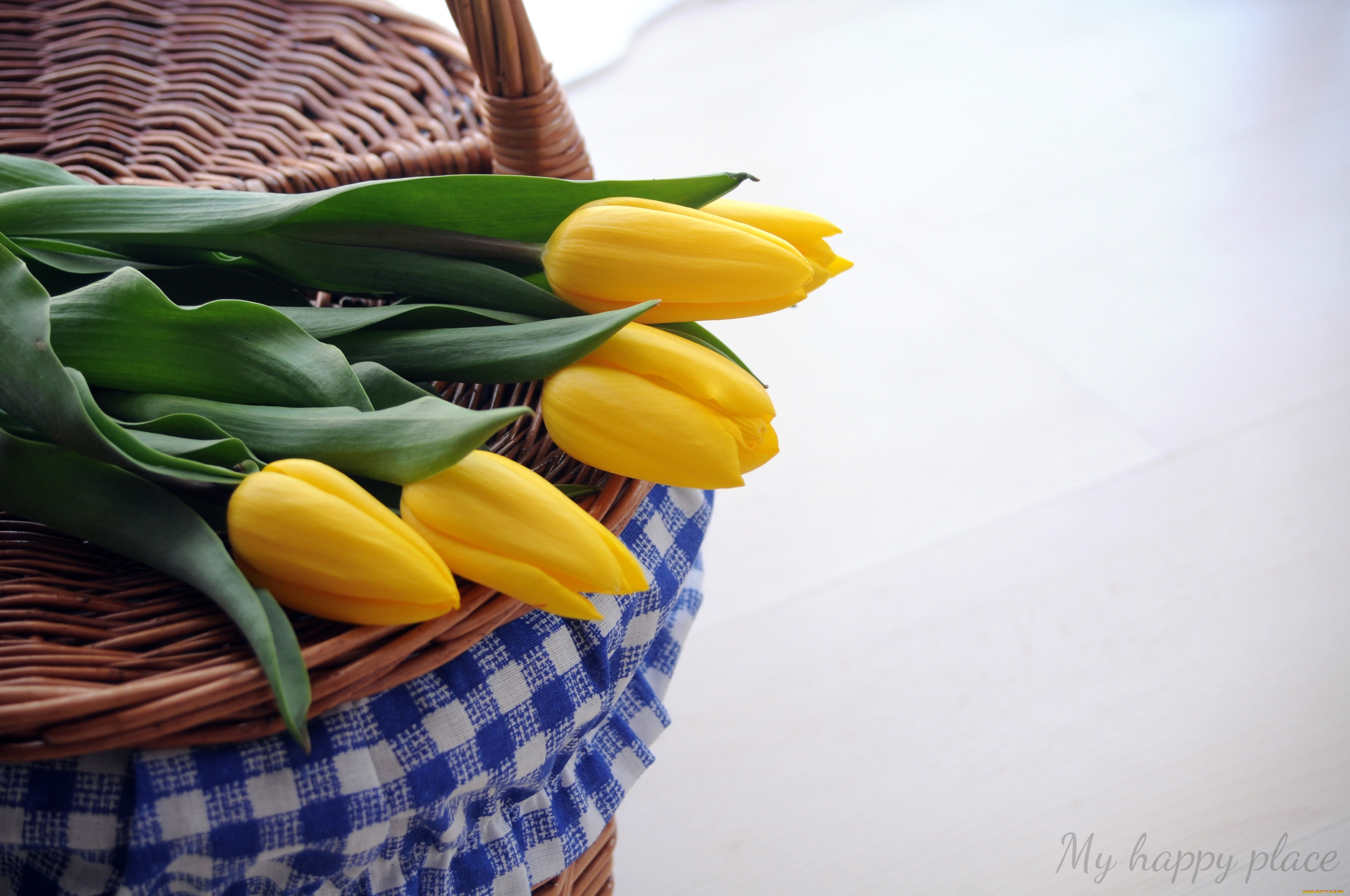 цветы, тюльпаны, желтый, корзинка, надпись