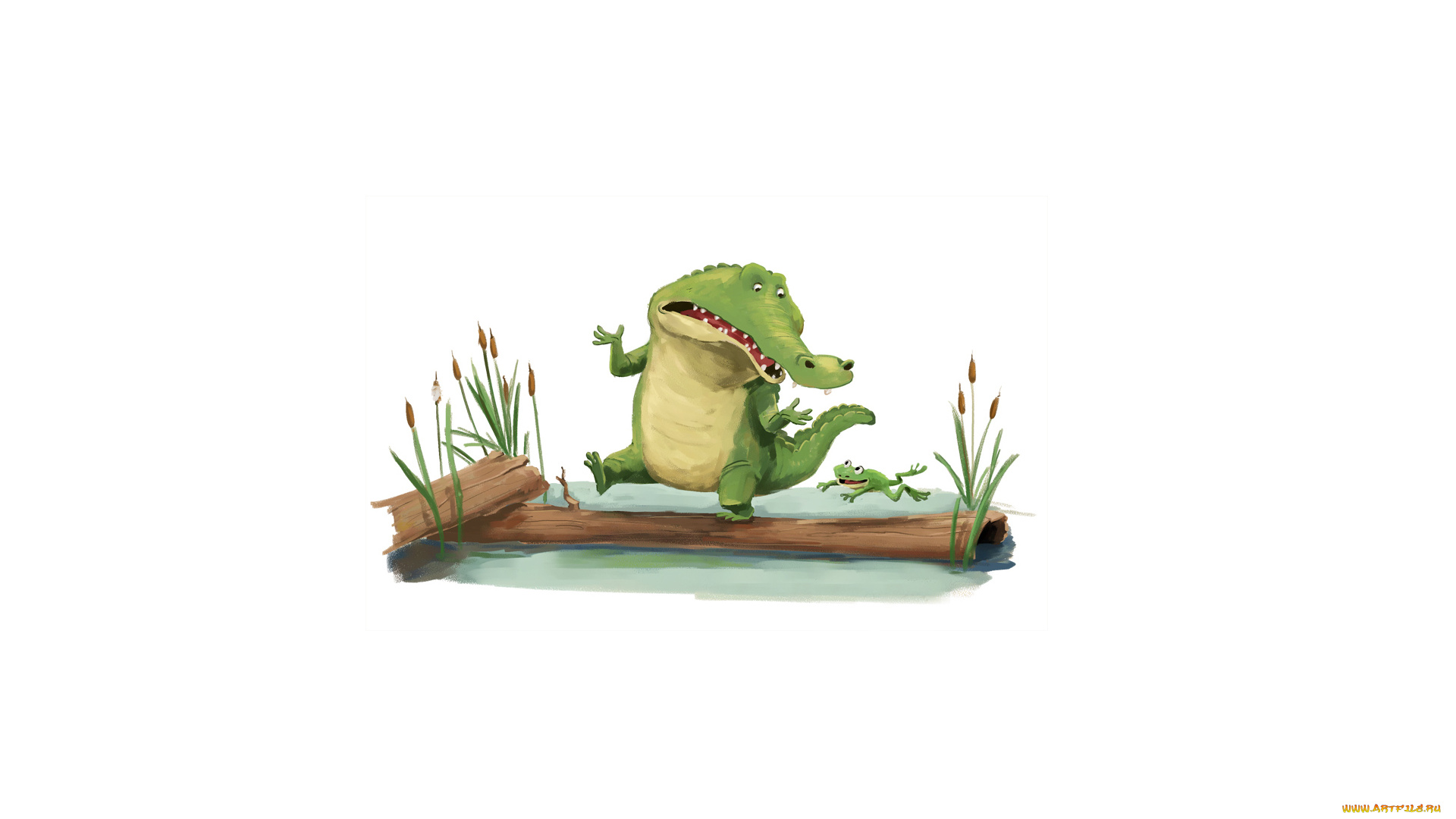 крокодил, и, лягушка, рисованные, минимализм, камыши, крокодил, вода, лягушка