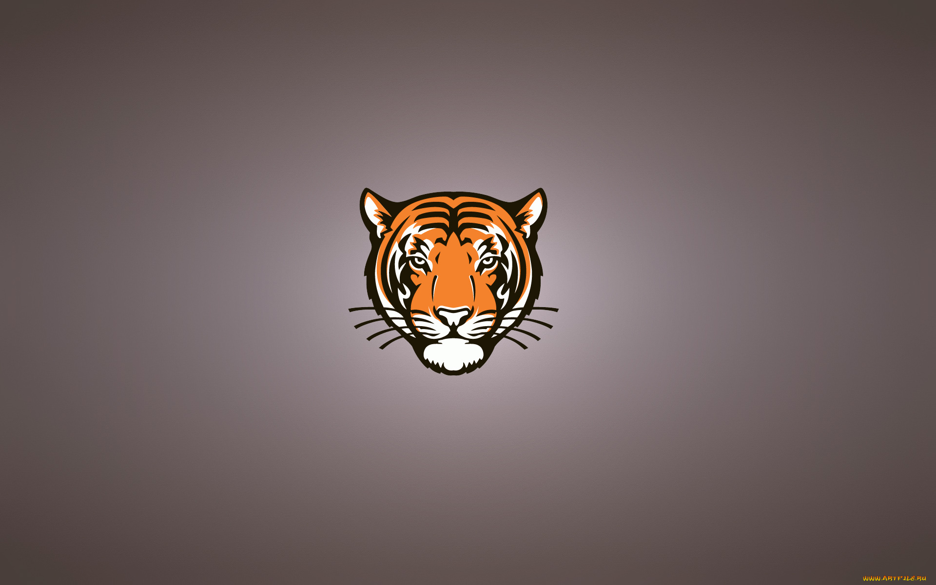 тигр, рисованные, минимализм, tiger