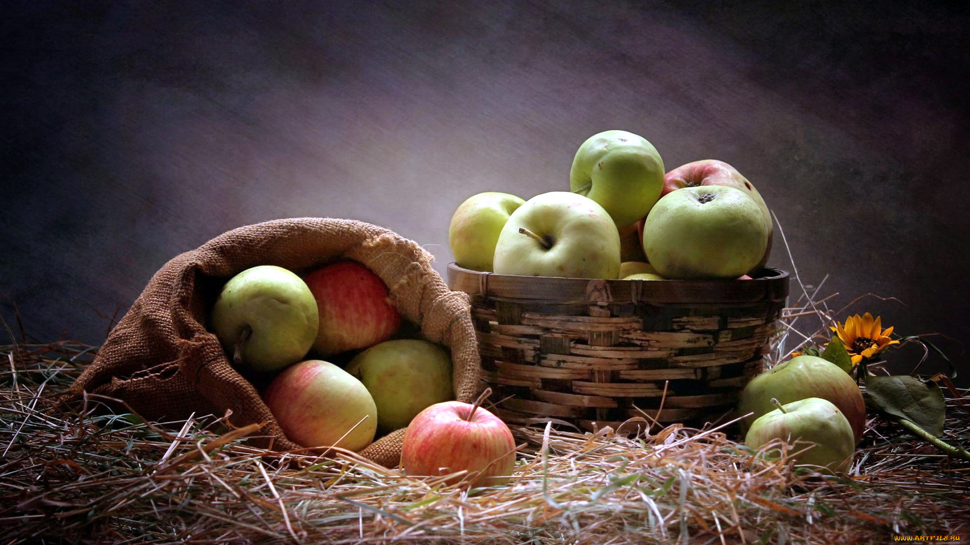 еда, Яблоки, урожай, яблоки, сено