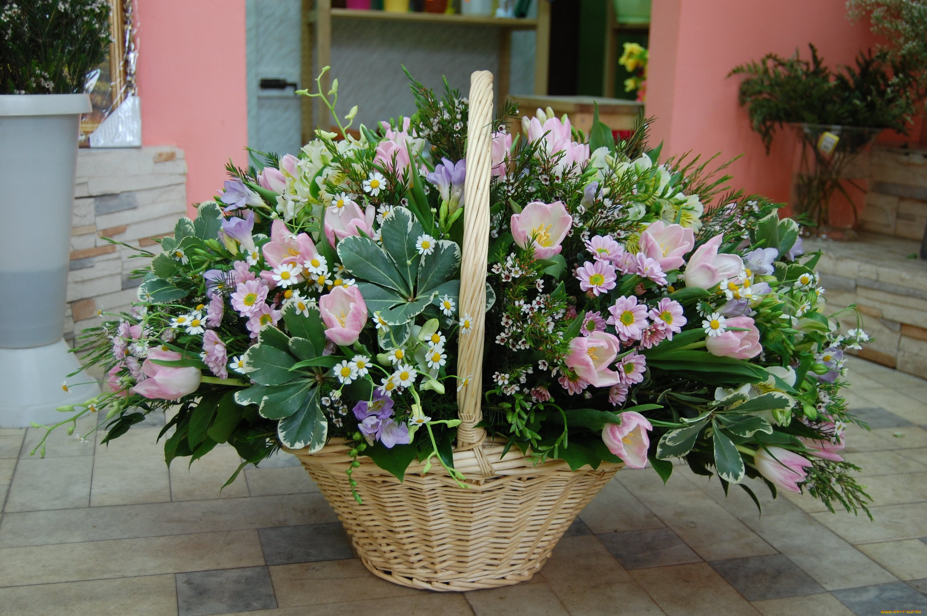 цветы, букеты, композиции, хризантемы, корзина, ромашки, тюльпаны