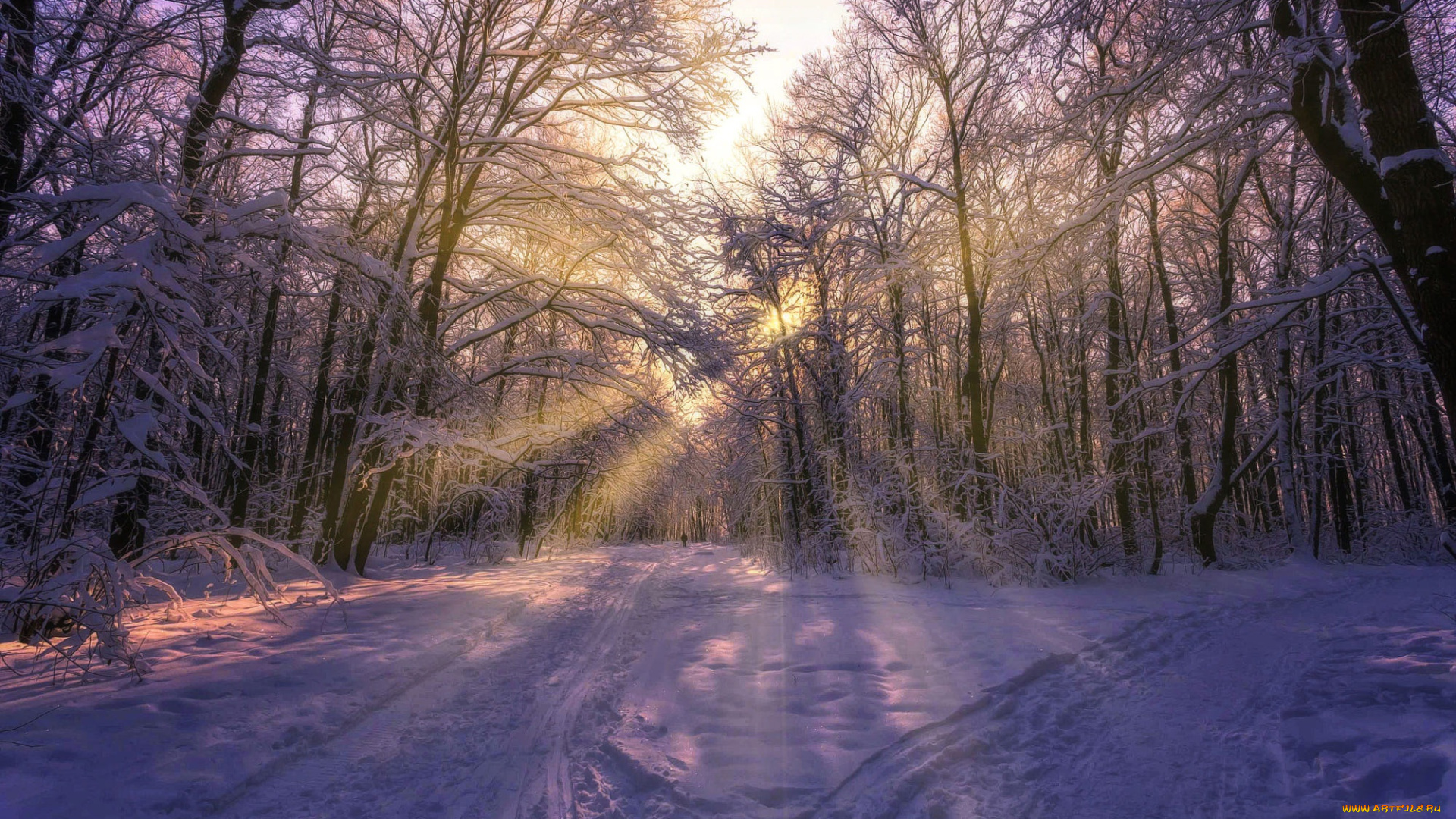 природа, дороги, солнце, зима, снег, лучи, aleksei, malygin, фото, деревья