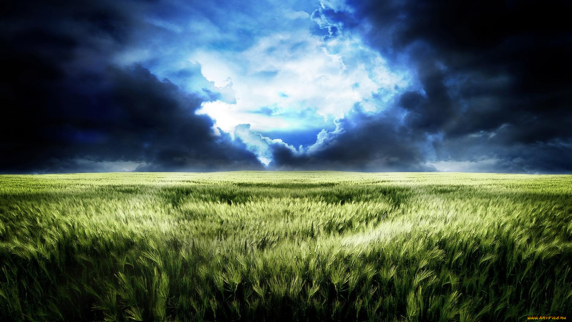 природа, поля, облака, трава, небо