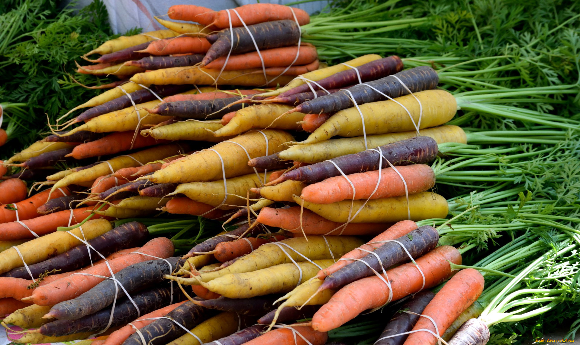 еда, морковь, ассорти, корнеплоды