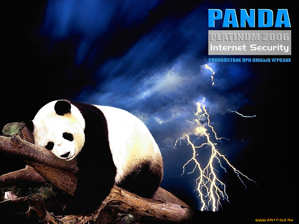 panda, planinum, 2006, компьютеры, unknown, разное