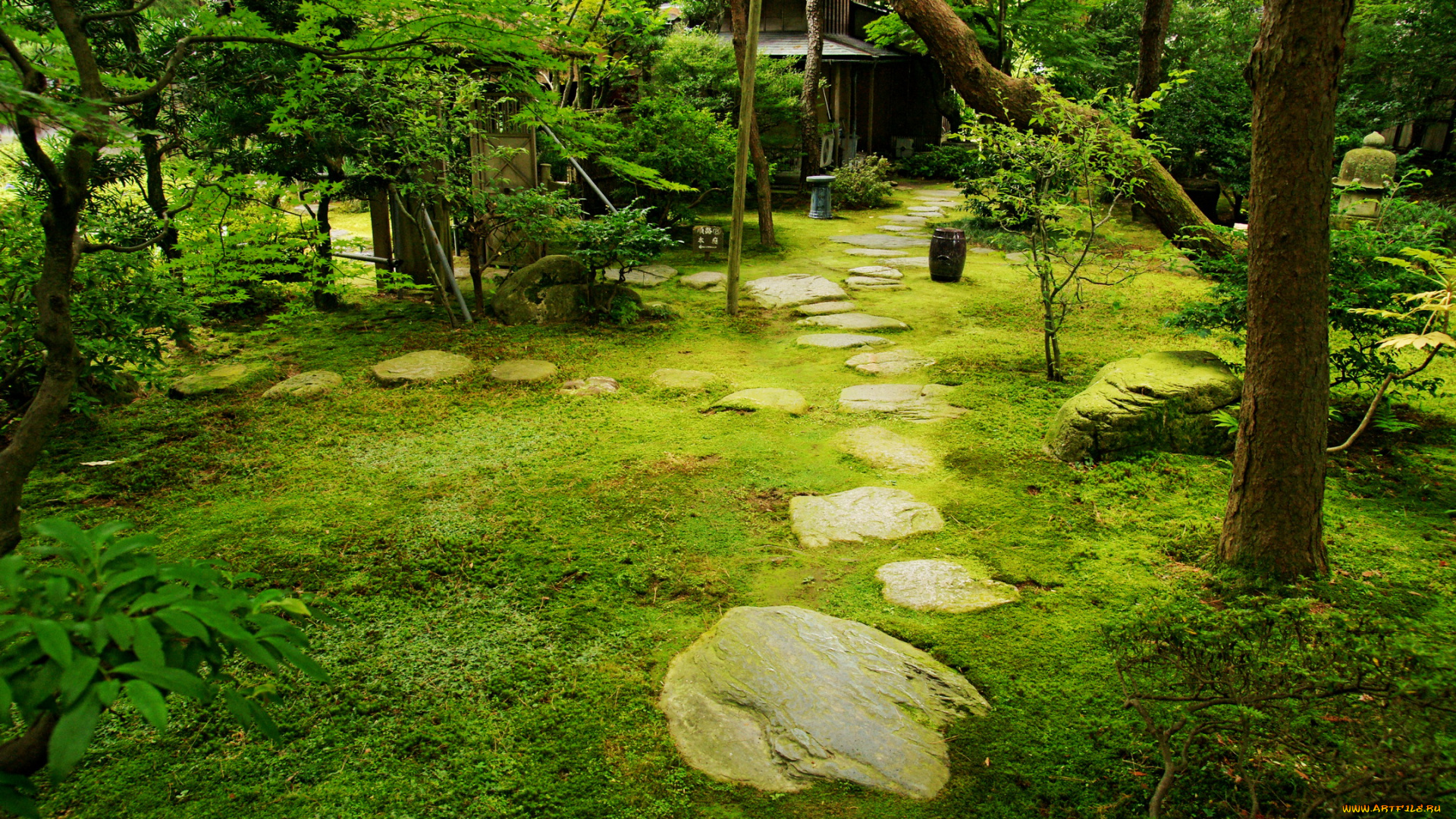 природа, парк, japan, garden, in, kanazawa