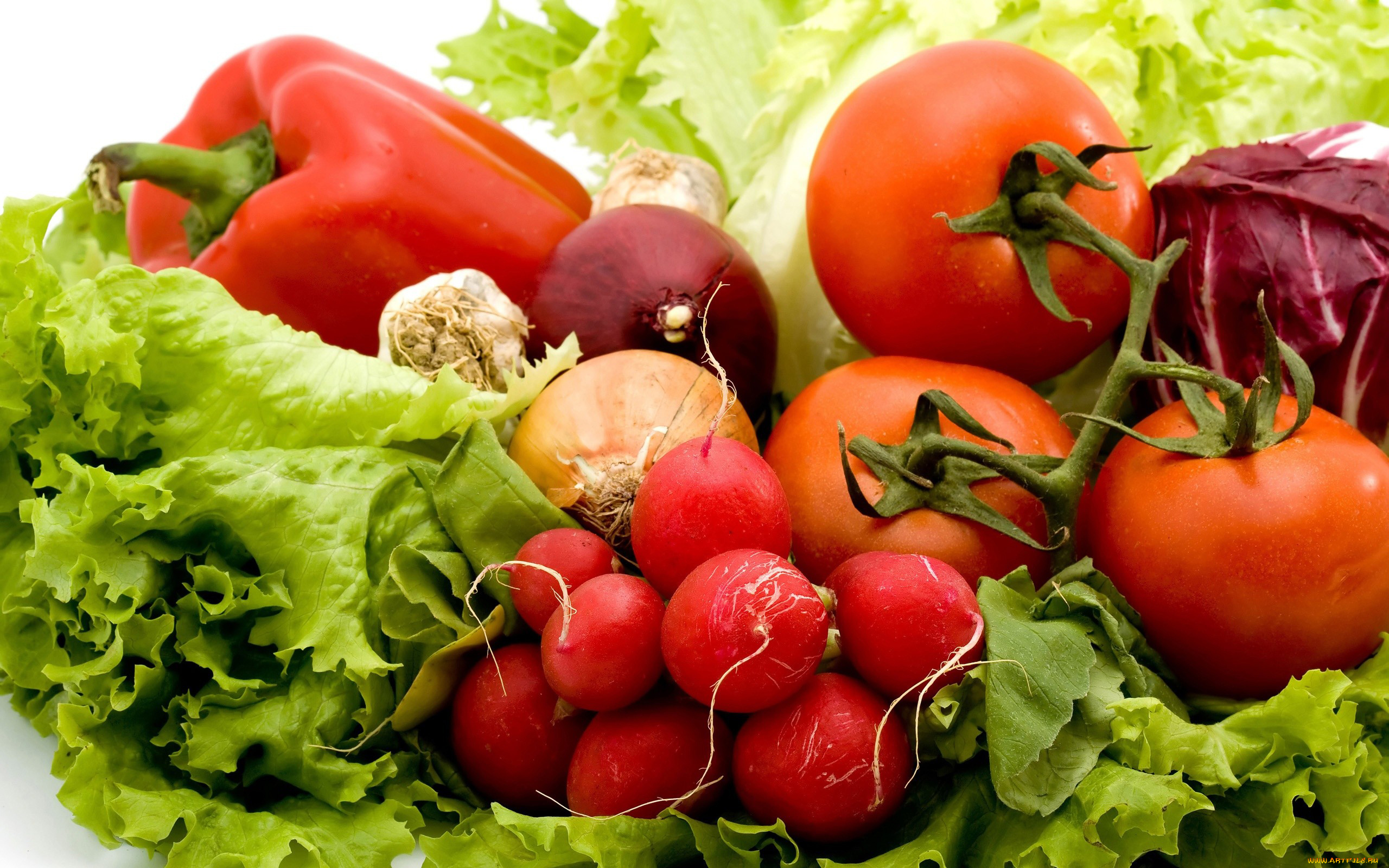 еда, овощи, салат, лук, помидор, редис, перец, томаты