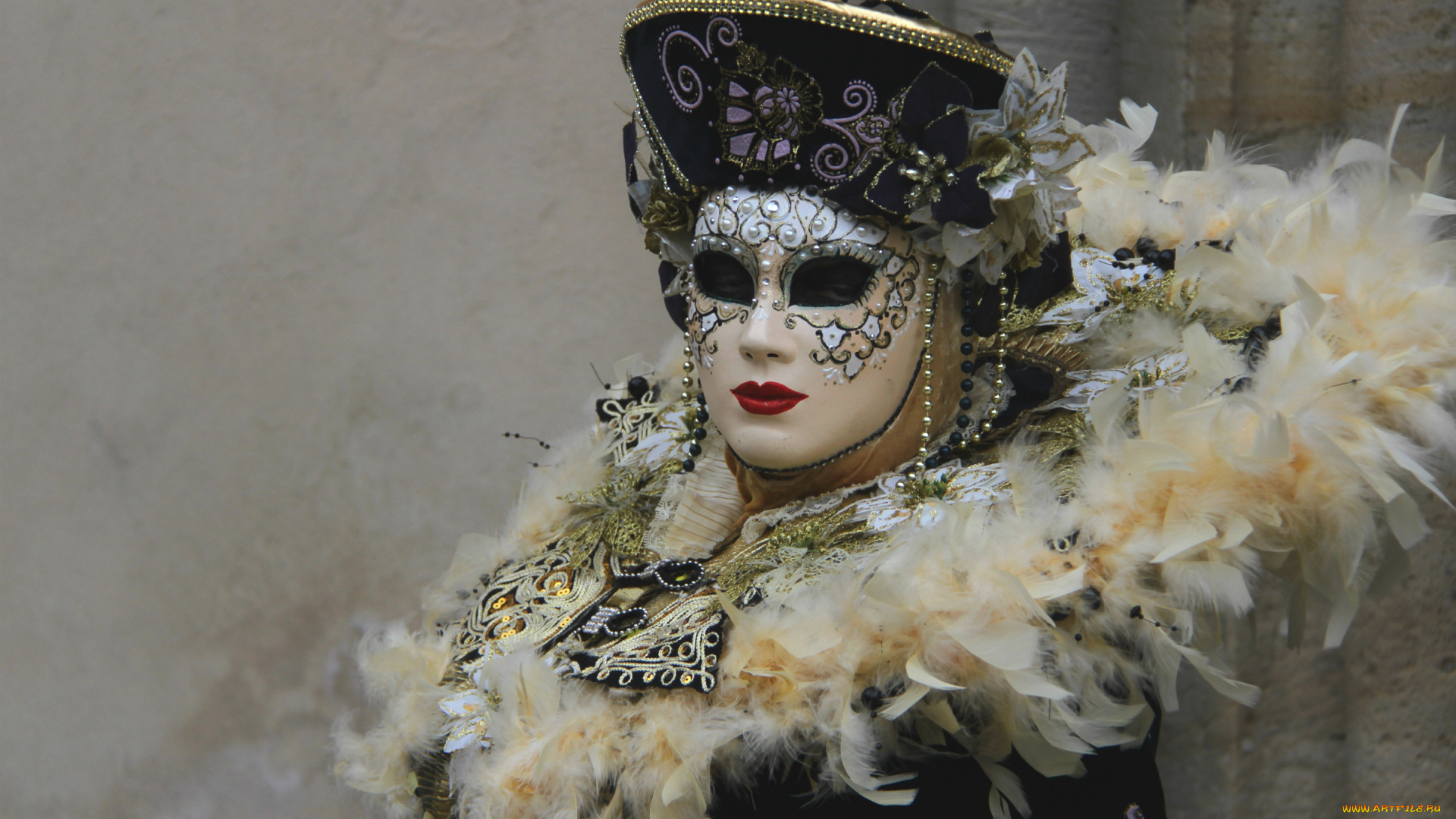 разное, маски, , карнавальные, костюмы, маска, карнавал, венеция, перья, костюм, воротник
