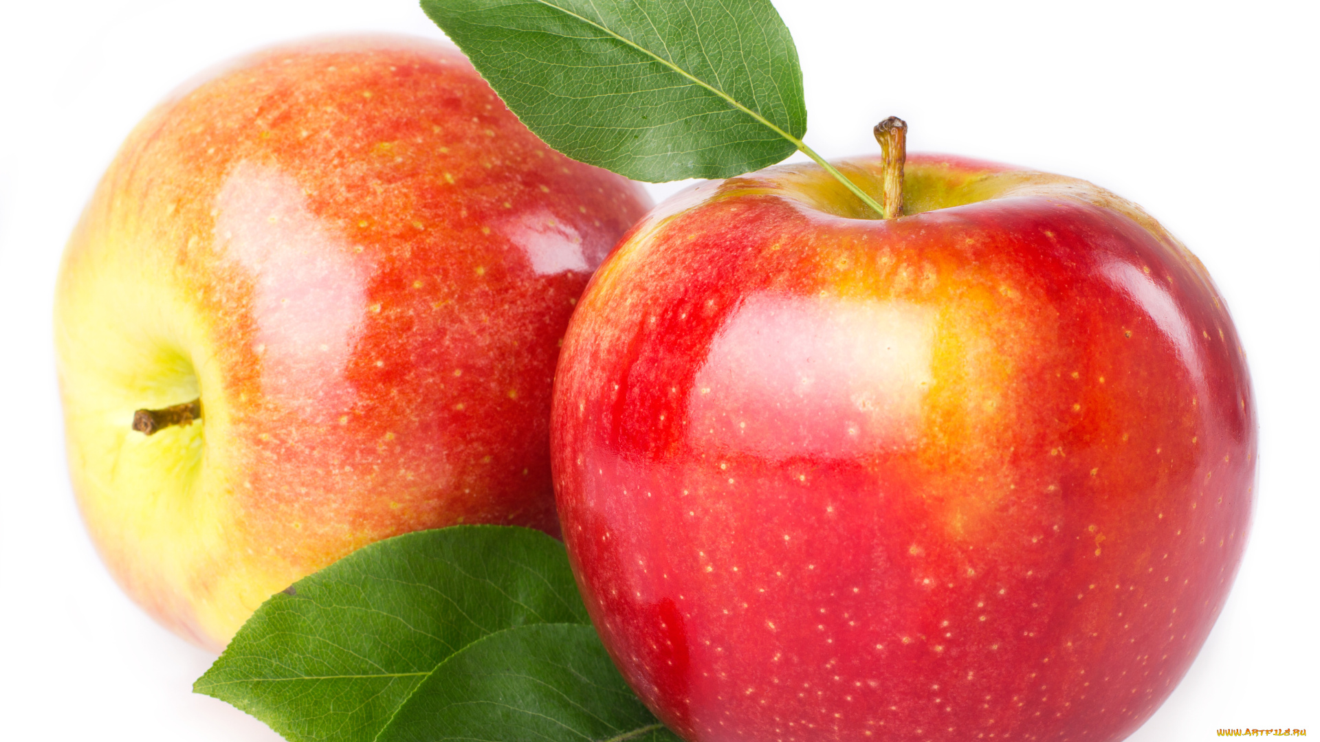 Яблоки, еда, плоды, фрукты