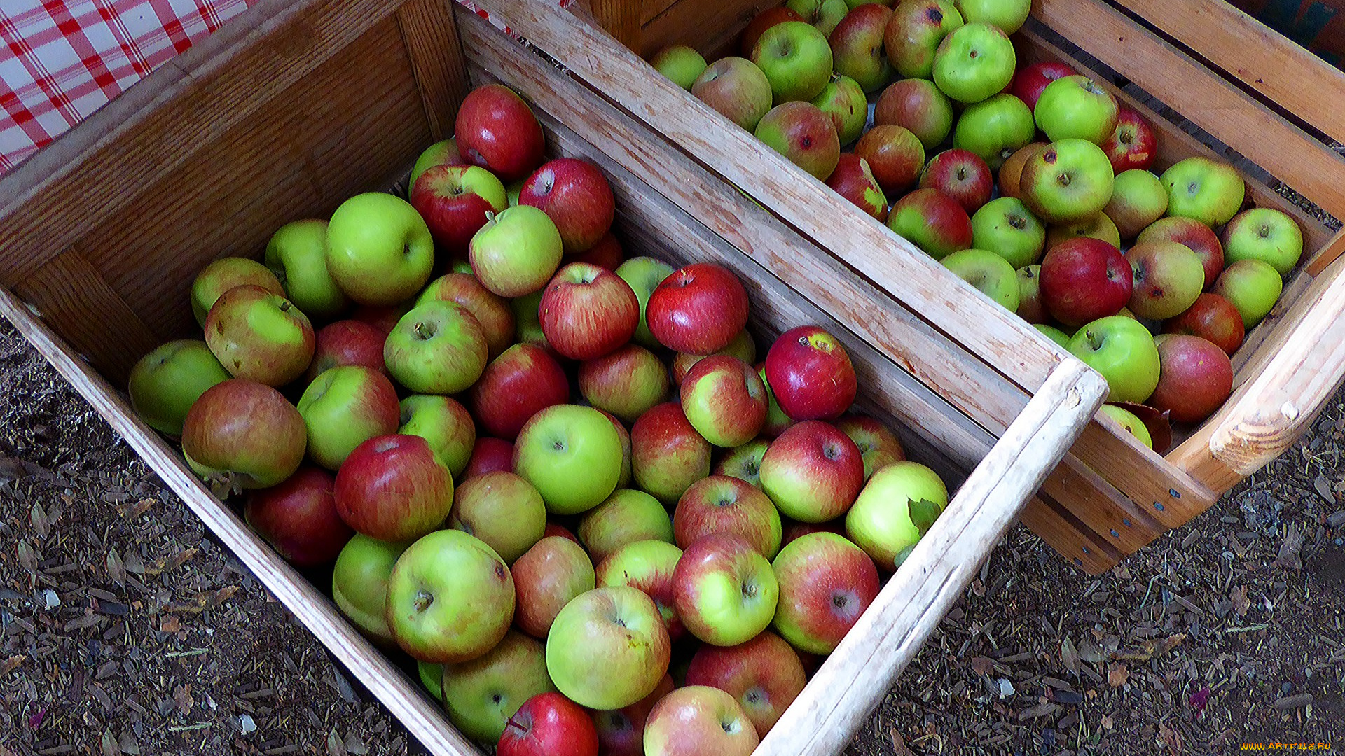 еда, Яблоки, урожай, яблоки, ящики, много