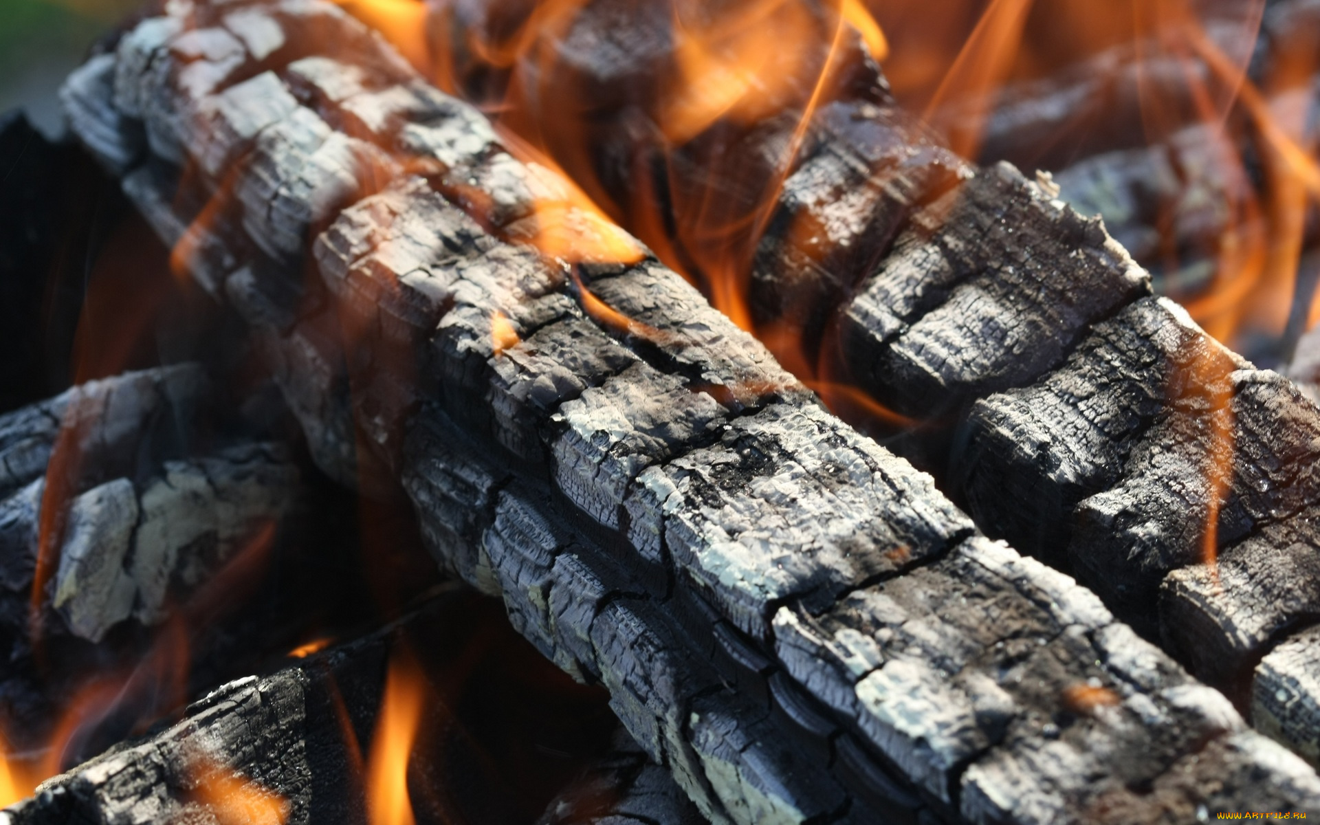 природа, огонь, дрова, угли, костер